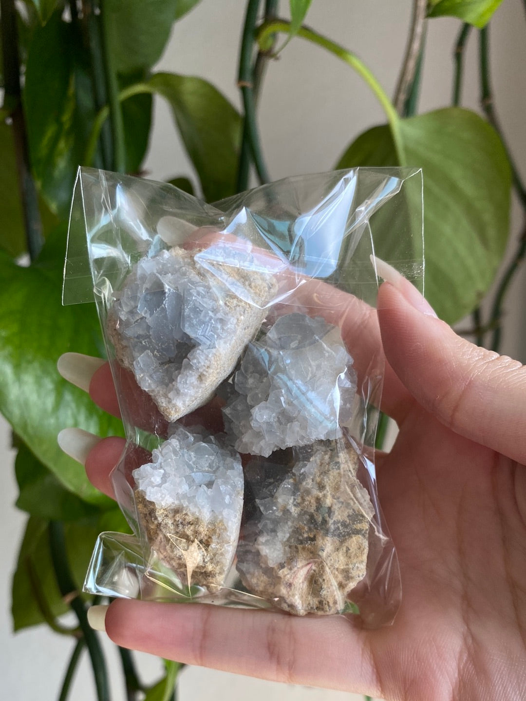 Celestite Points Grab Bag C