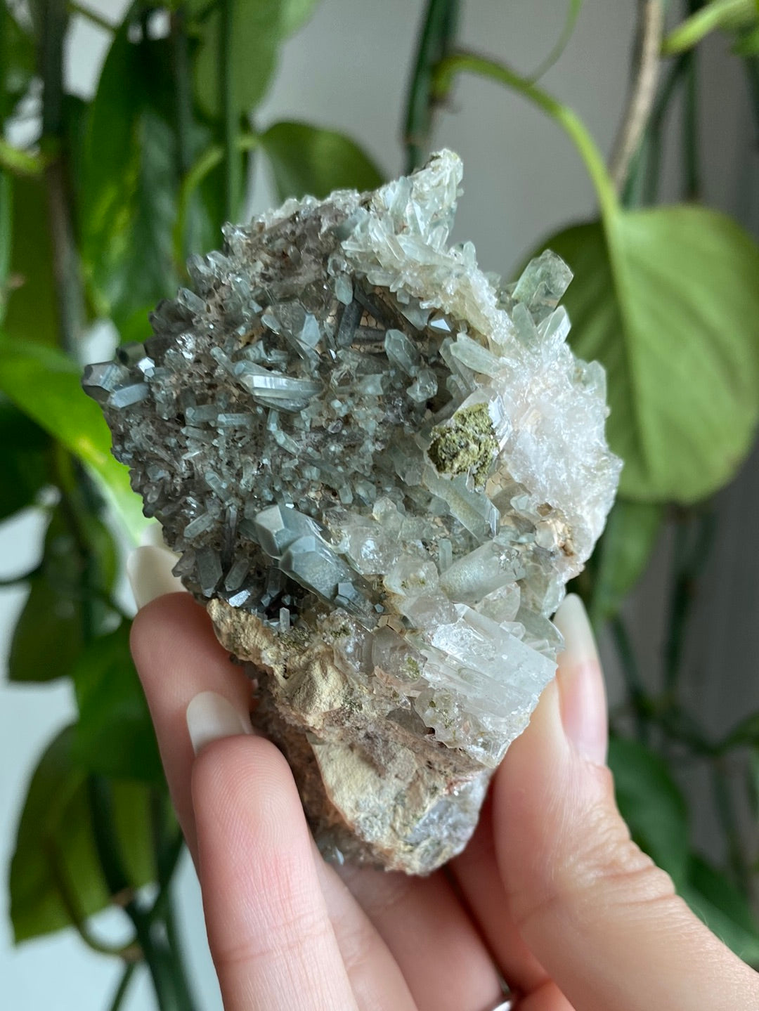 Himalayan High Altitude Quartz