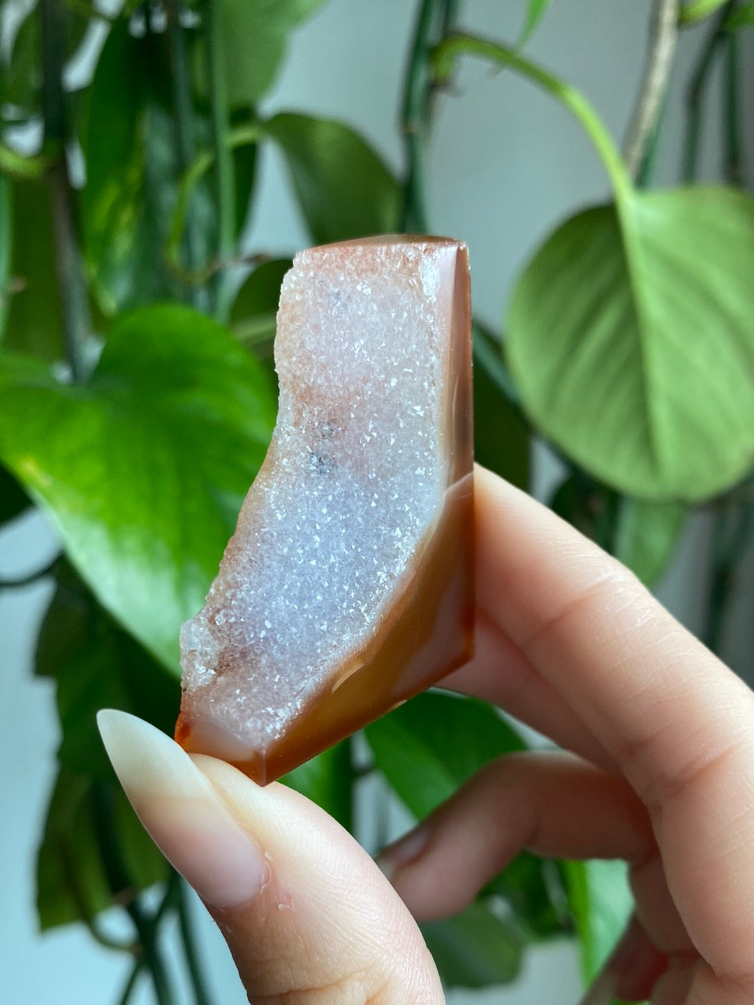 Druzy Carnelian Freeform