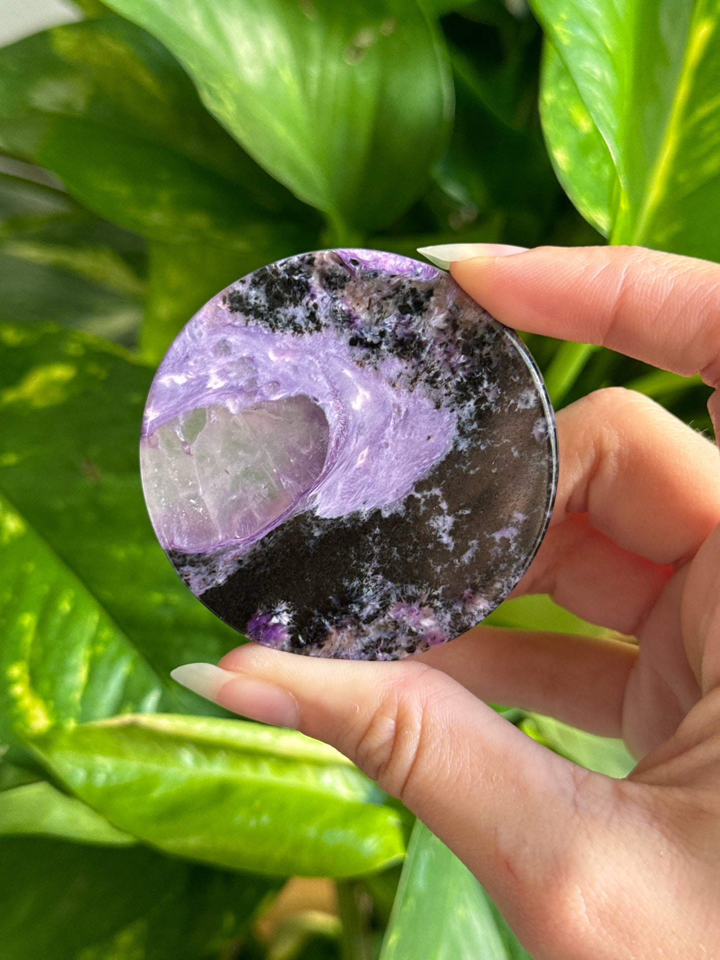 Charoite Disk | You Pick