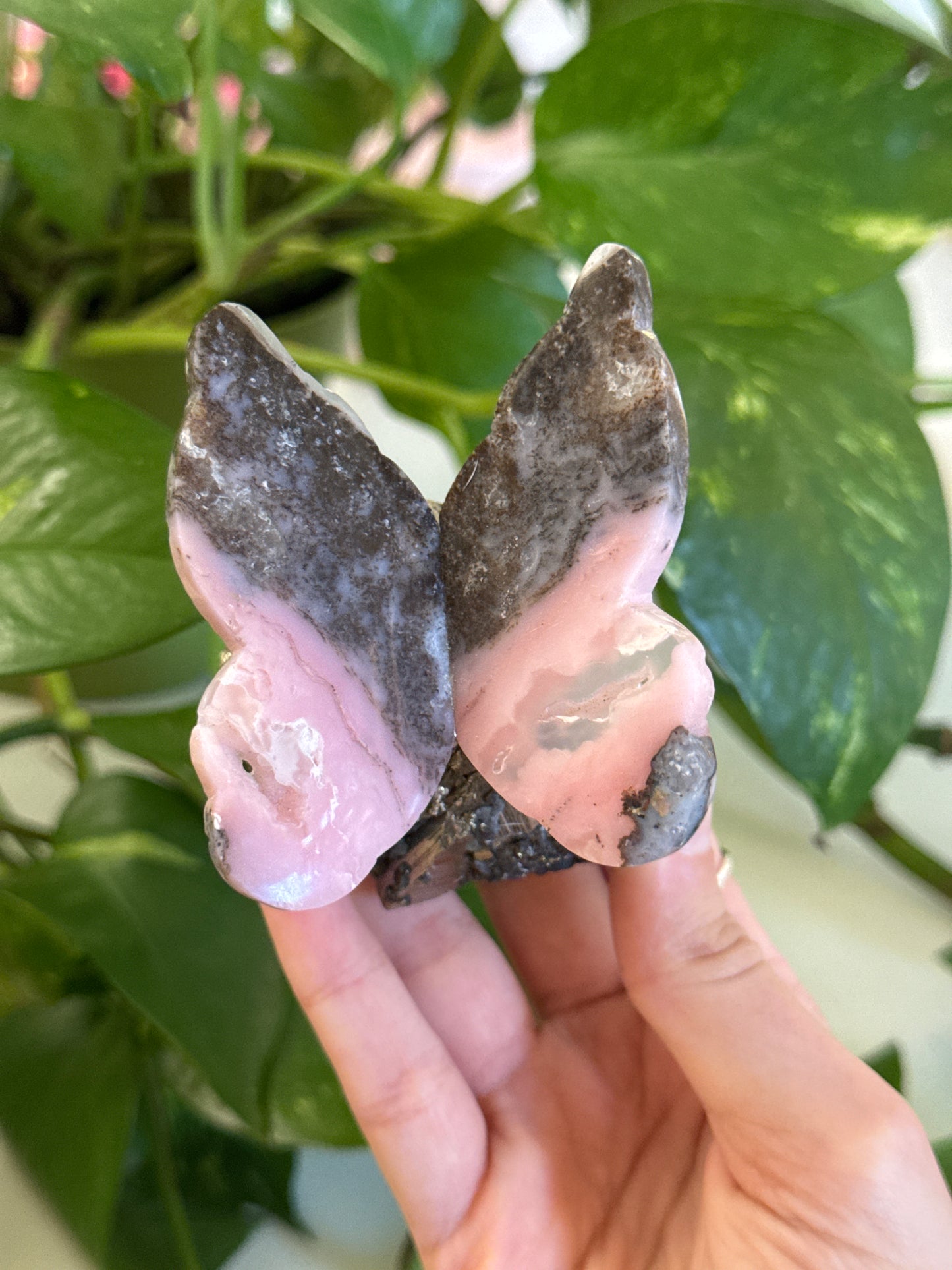 Hand Carved Peruvian Pink Opal Butterfly on Cubic C