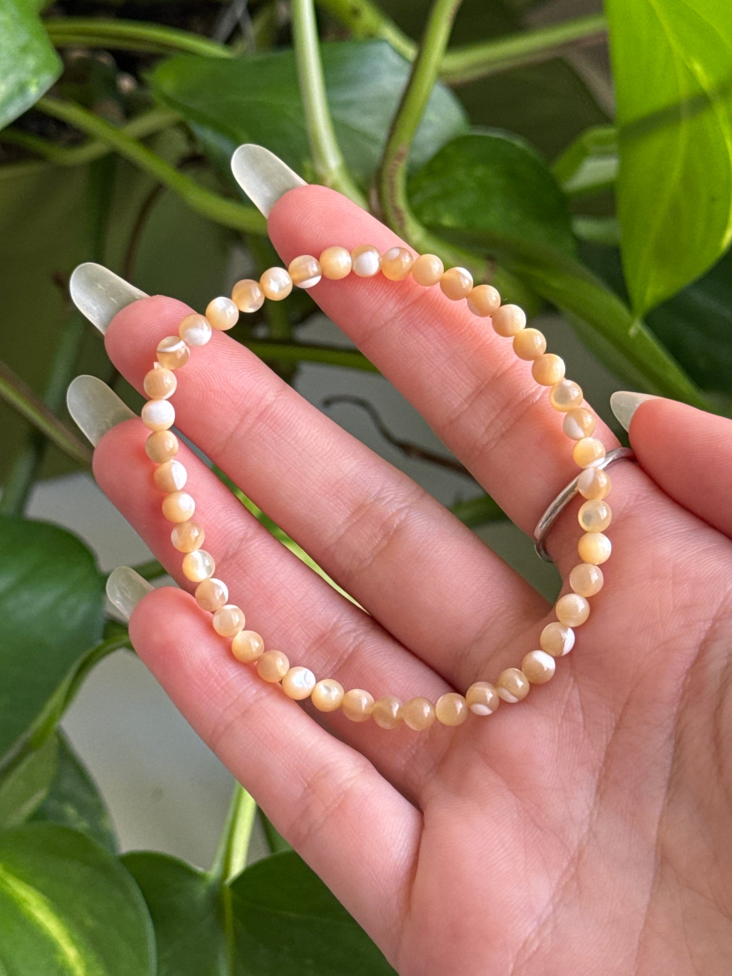 Peachy Shell Dainty Bracelet