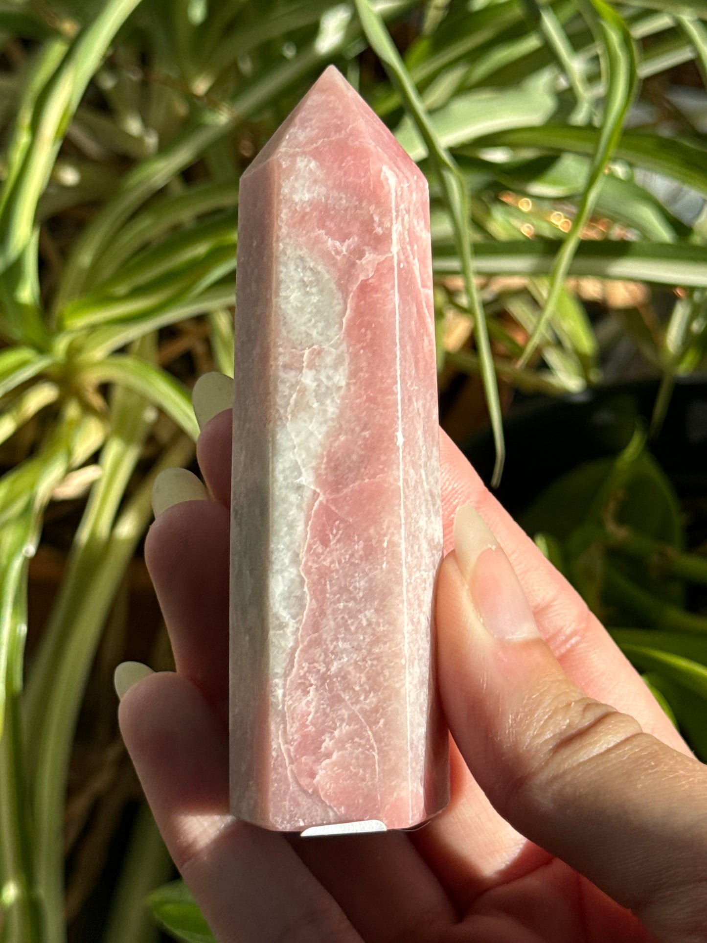 Pink Opal Towers Batch 1