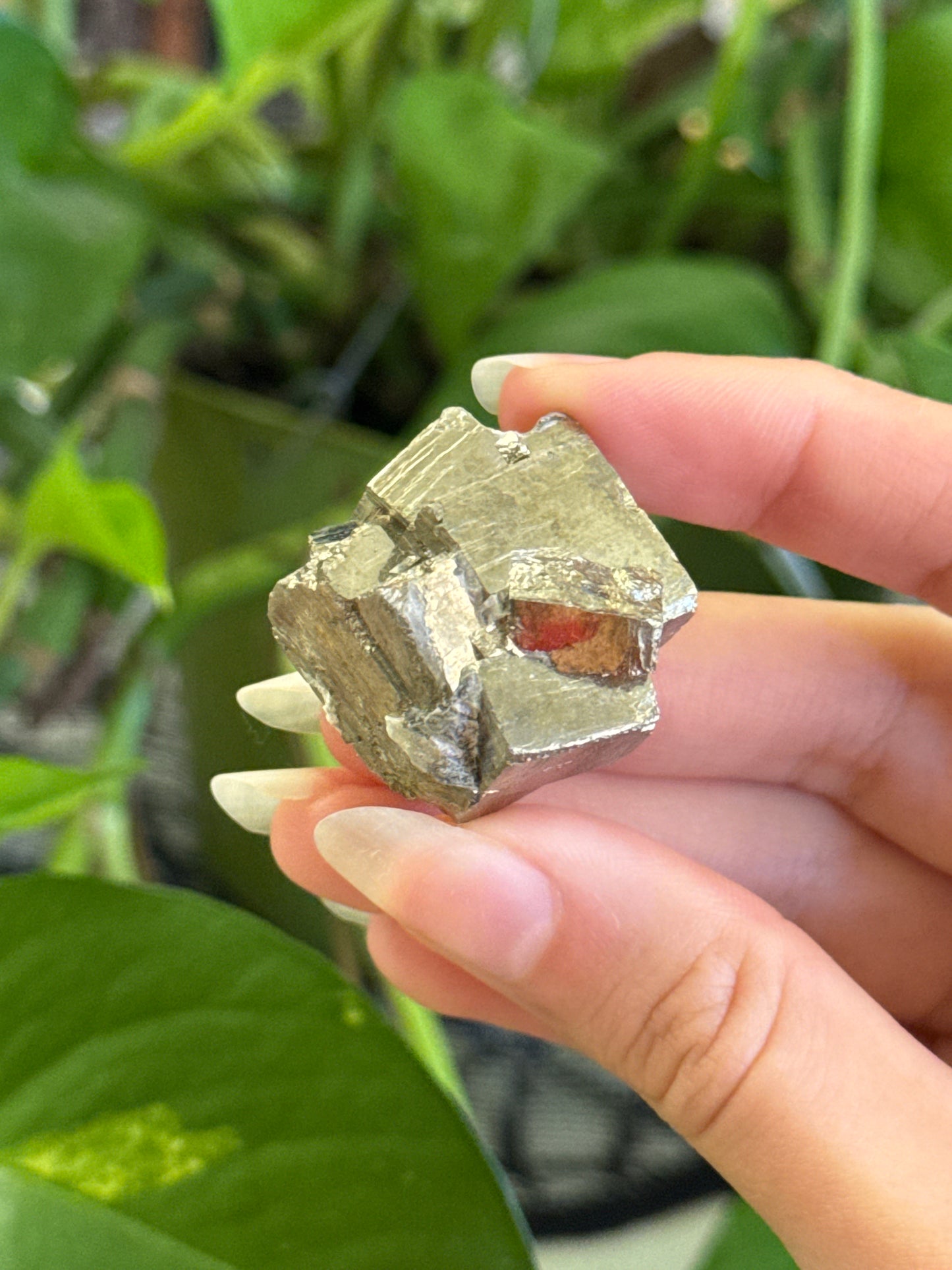 Cubic Pyrite Specimen | You Pick