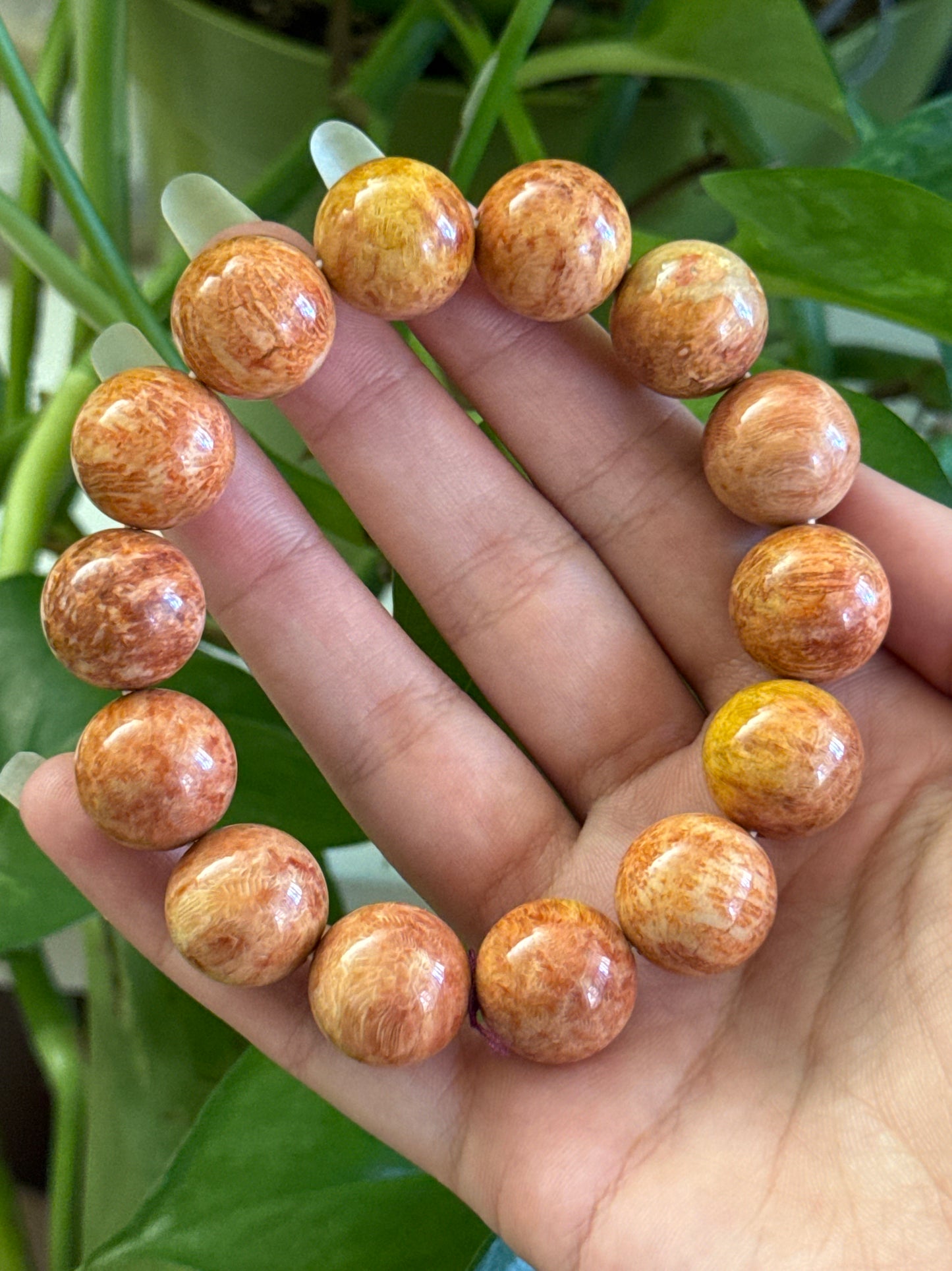 Statement Chunky Fossilized Coral Bracelet 14mm Beads
