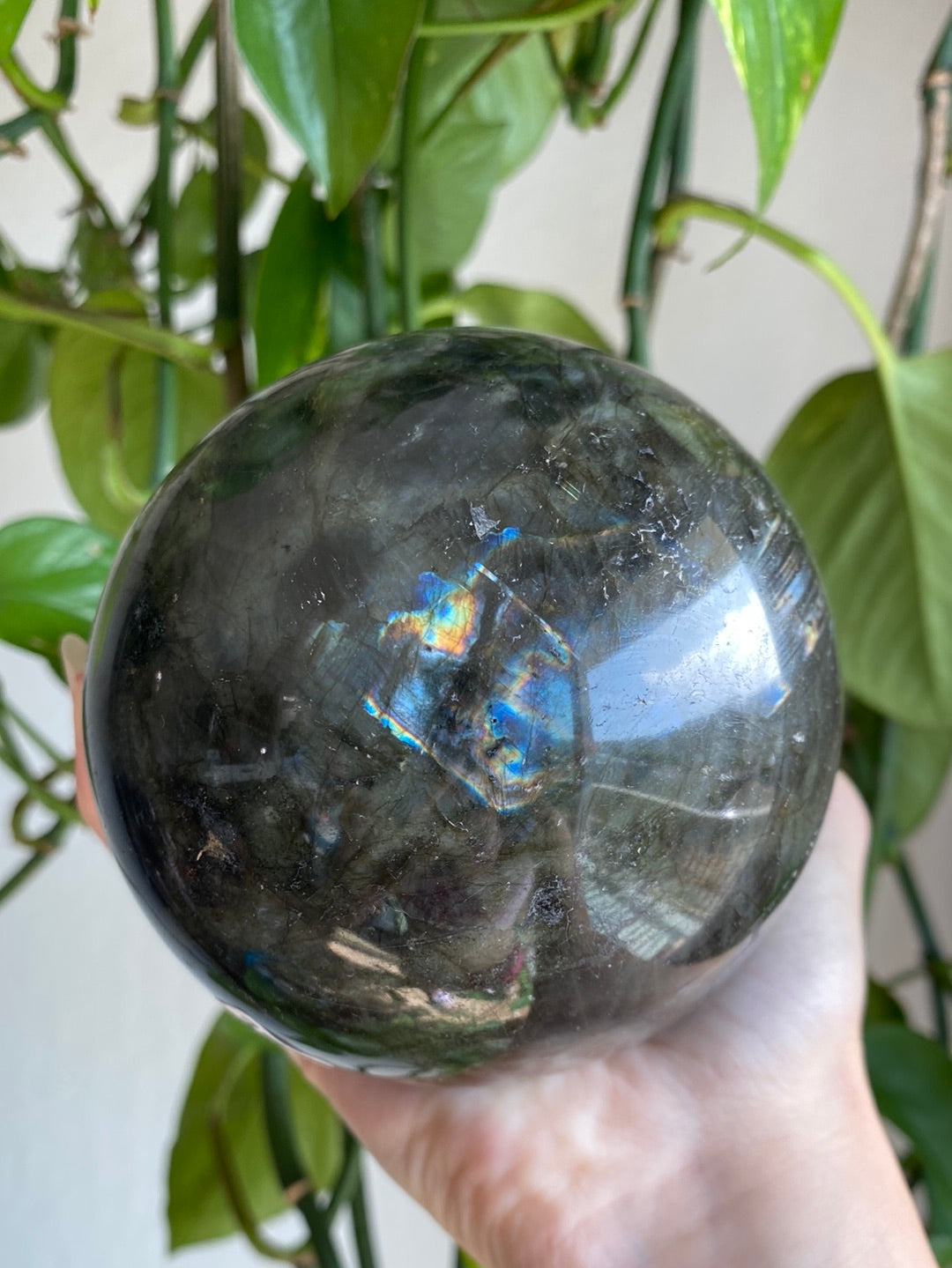 Large Labradorite Sphere 95mm 2.9lbs