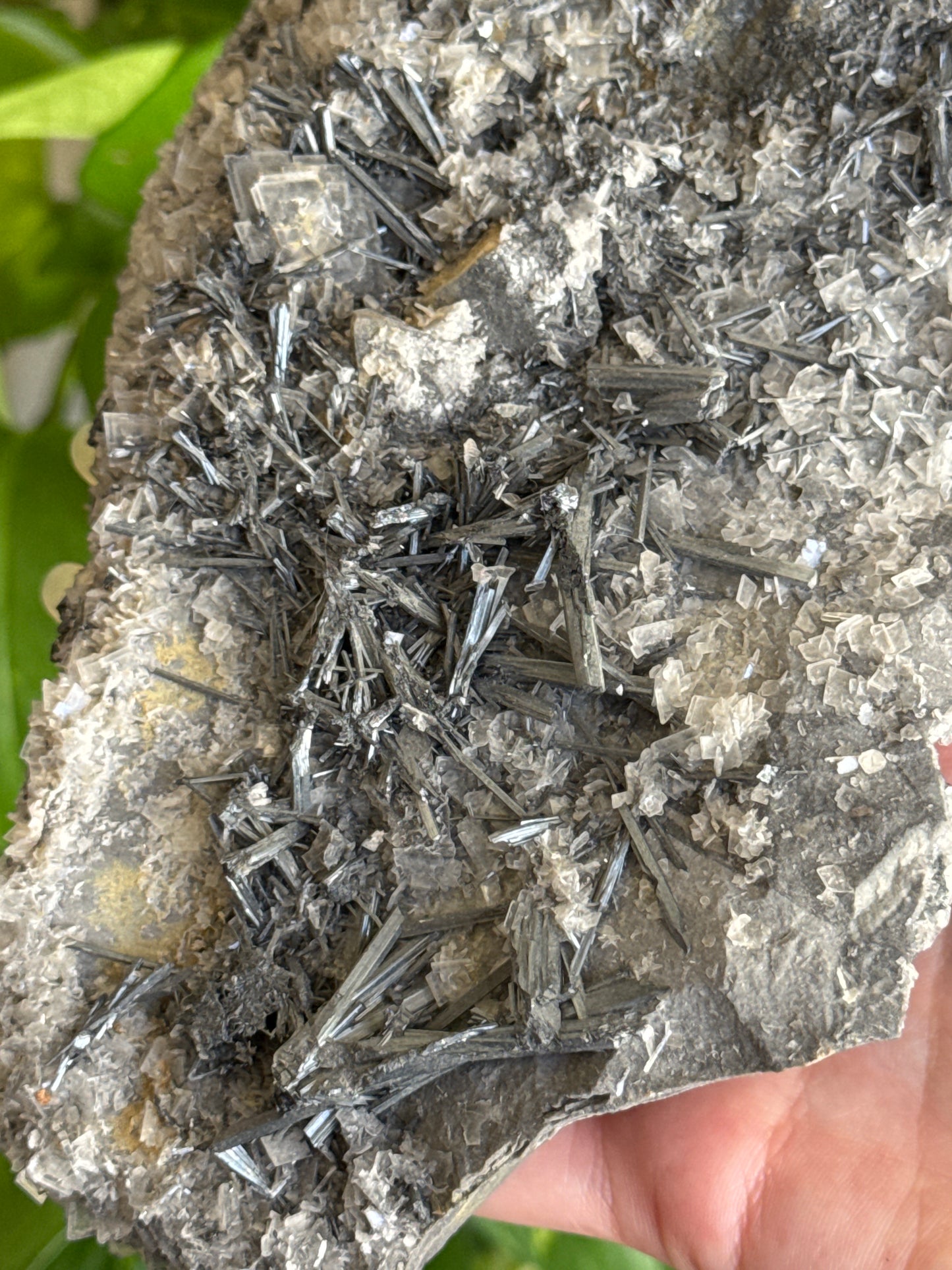 Large Exposed Stibnite Specimen