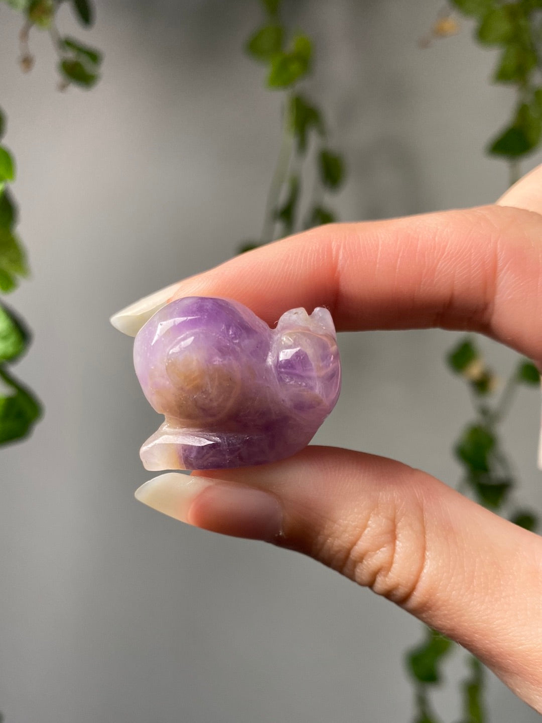 Mini Snails | You Pick