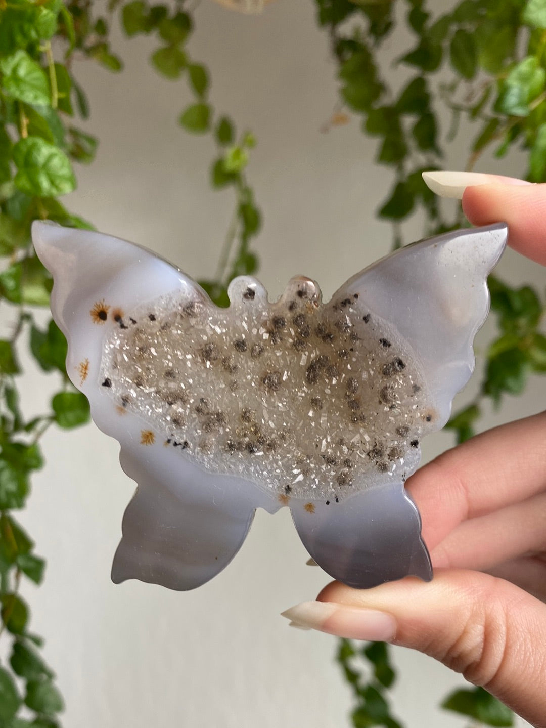Druzy Agate Butterfly