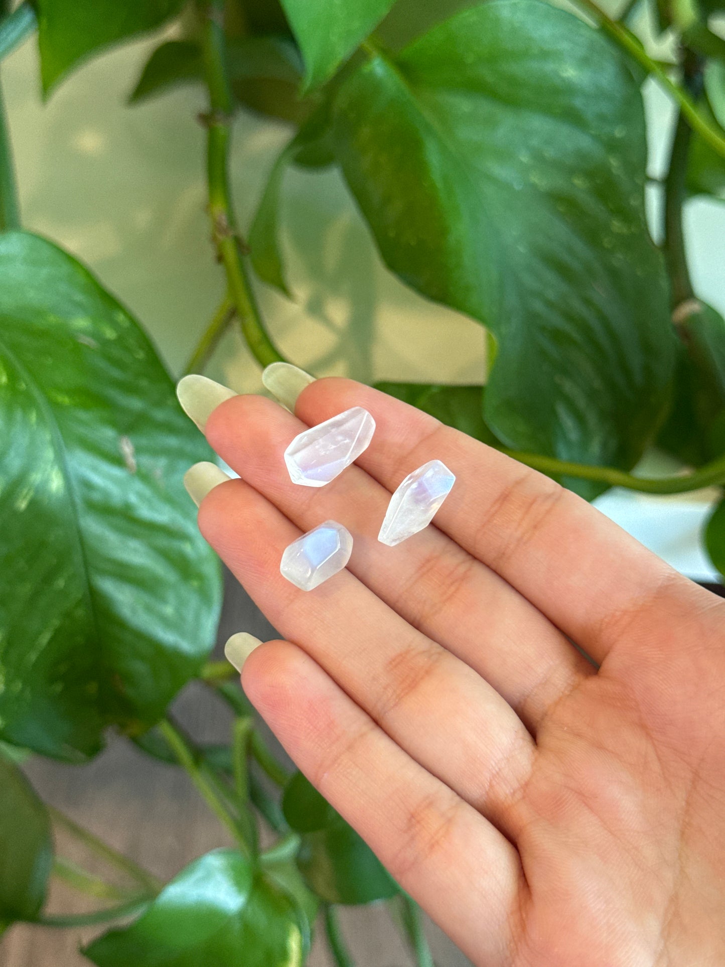 High Grade Flashy Moonstone Freeform