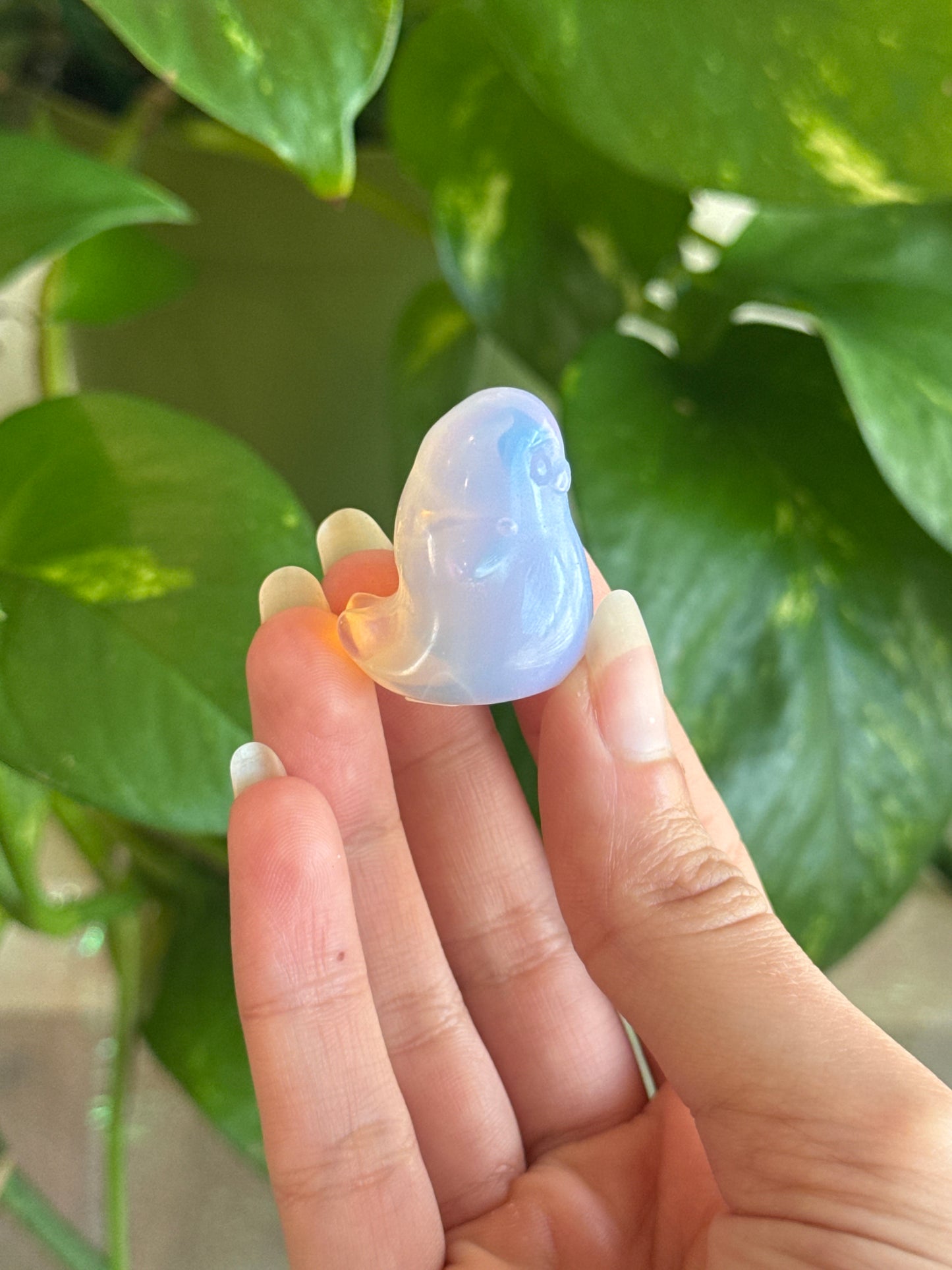 Pink Opalite Chubby Seal