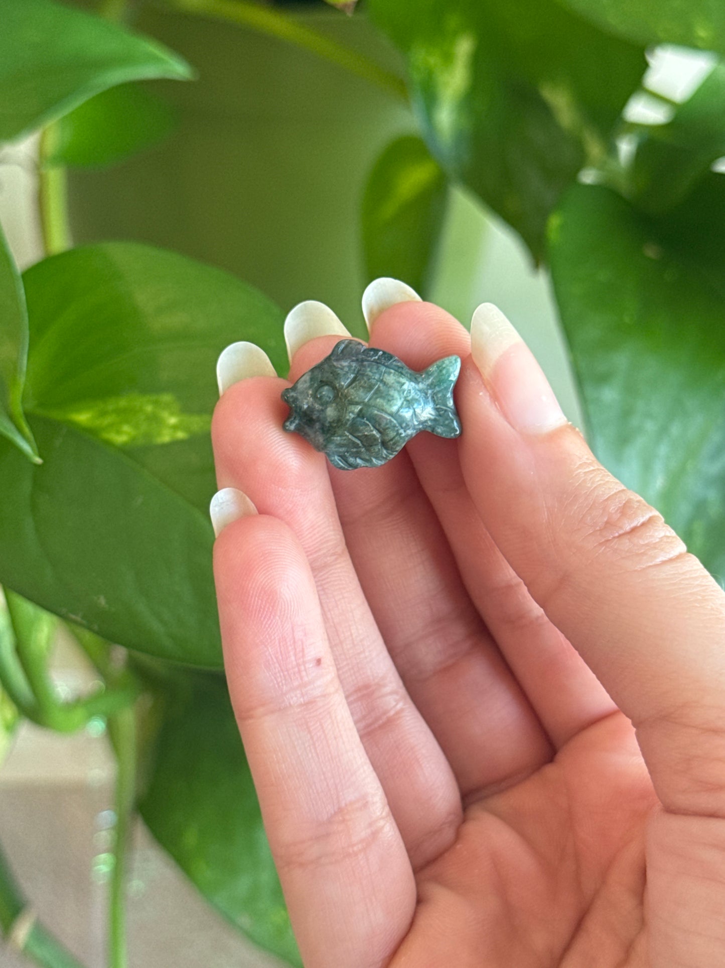 Sea Jasper Fish Carving