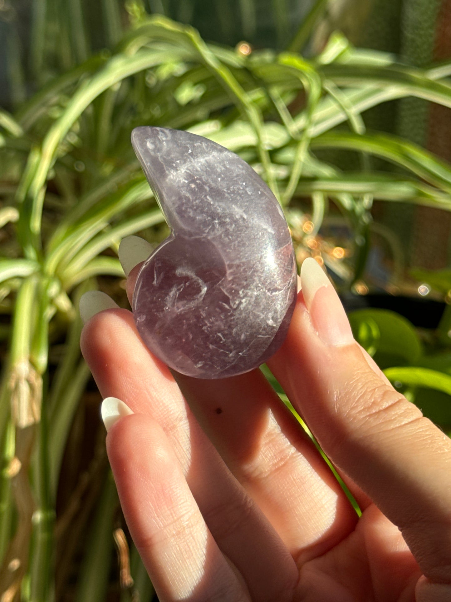Fluorite Shell Carving