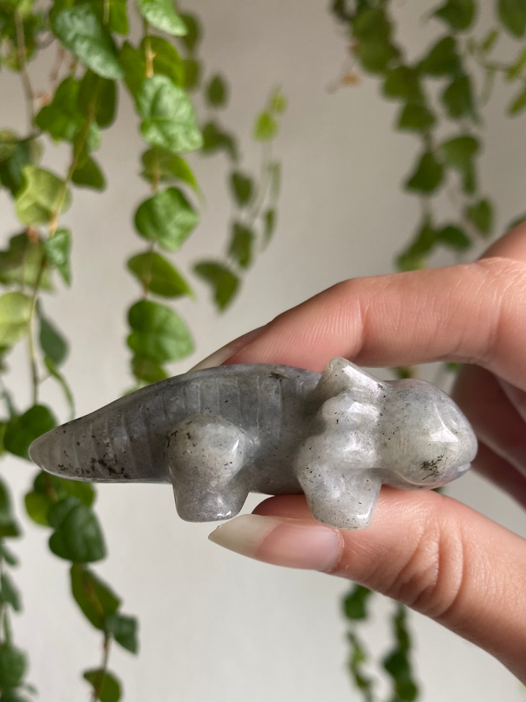 Labradorite Axolotl