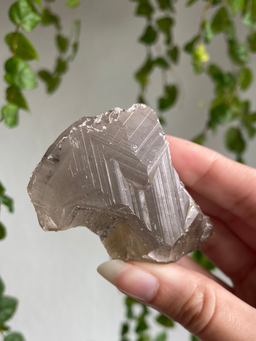 Benz Calcite Specimen | You Pick
