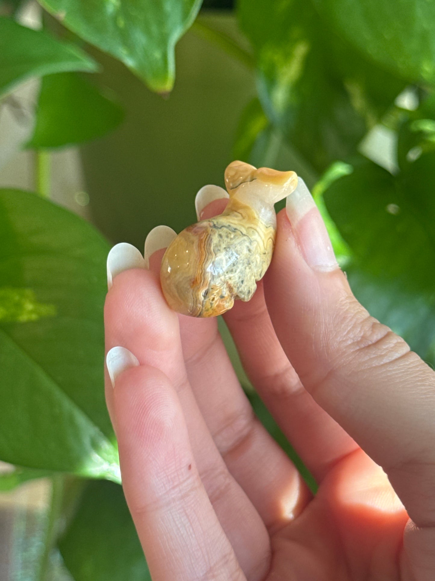 Crazy Lace Agate Whale Carving