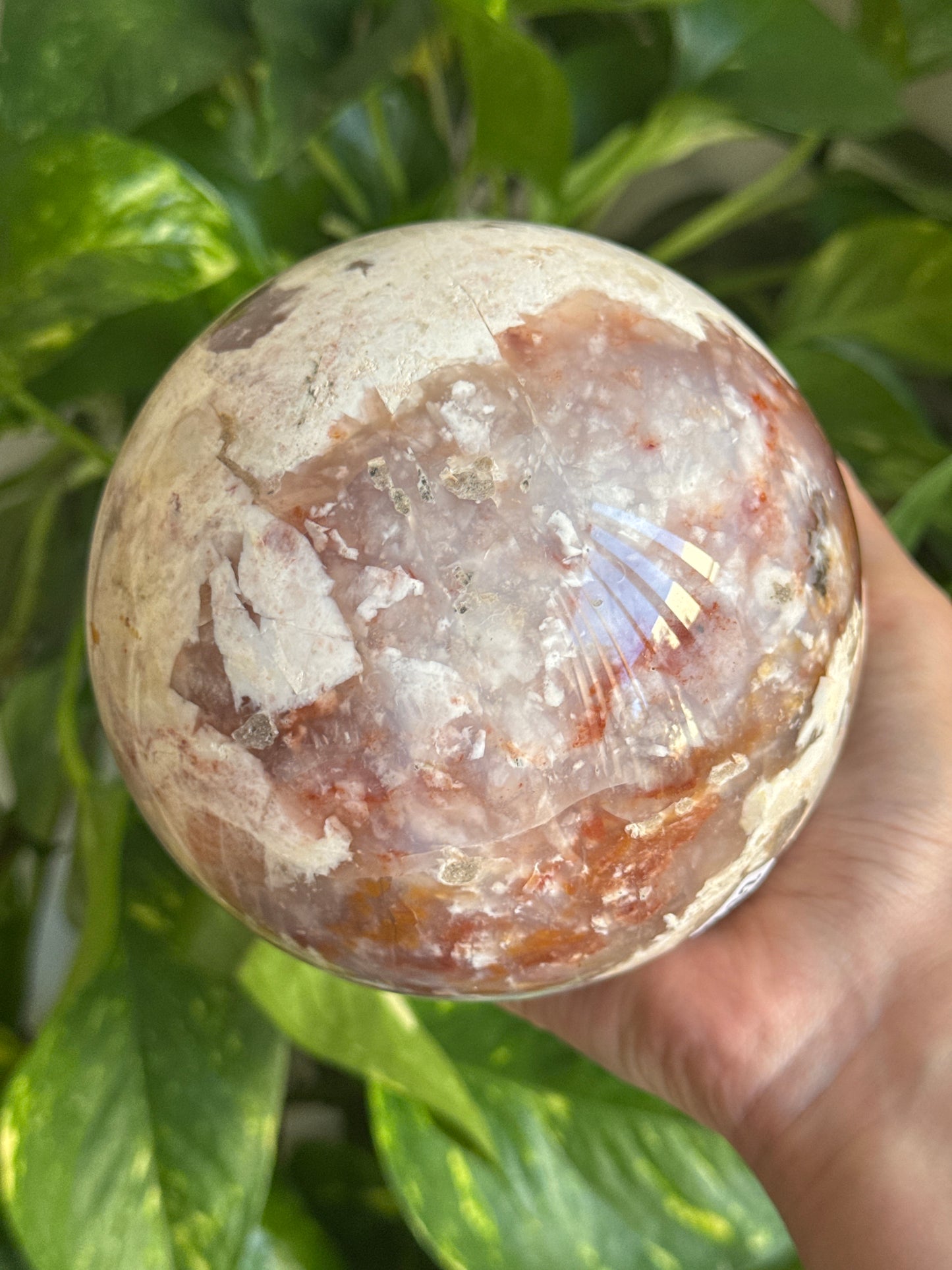 Statement Carnelian Flower Agate Sphere 110mm