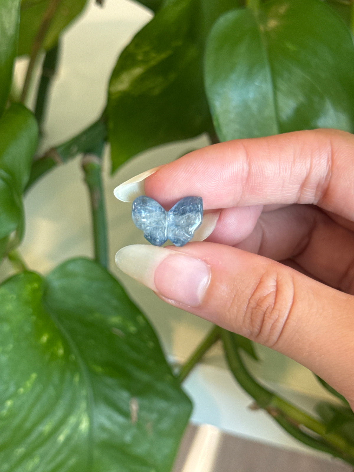 Flashy Gem Kyanite Butterfly