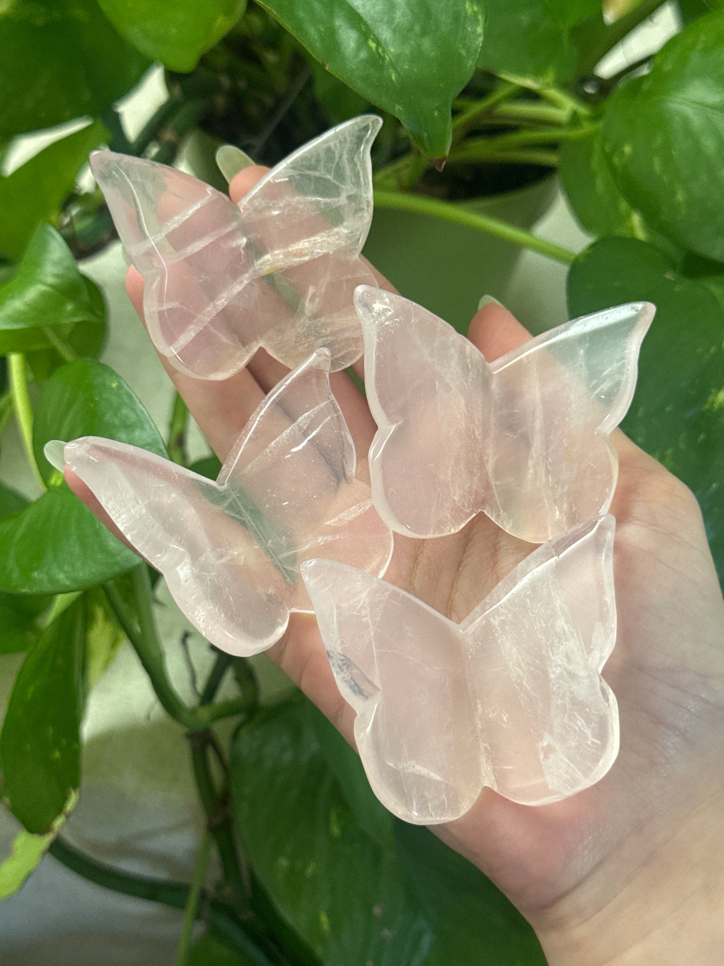 Gemmy Rose Quartz 3D Butterfly Carving