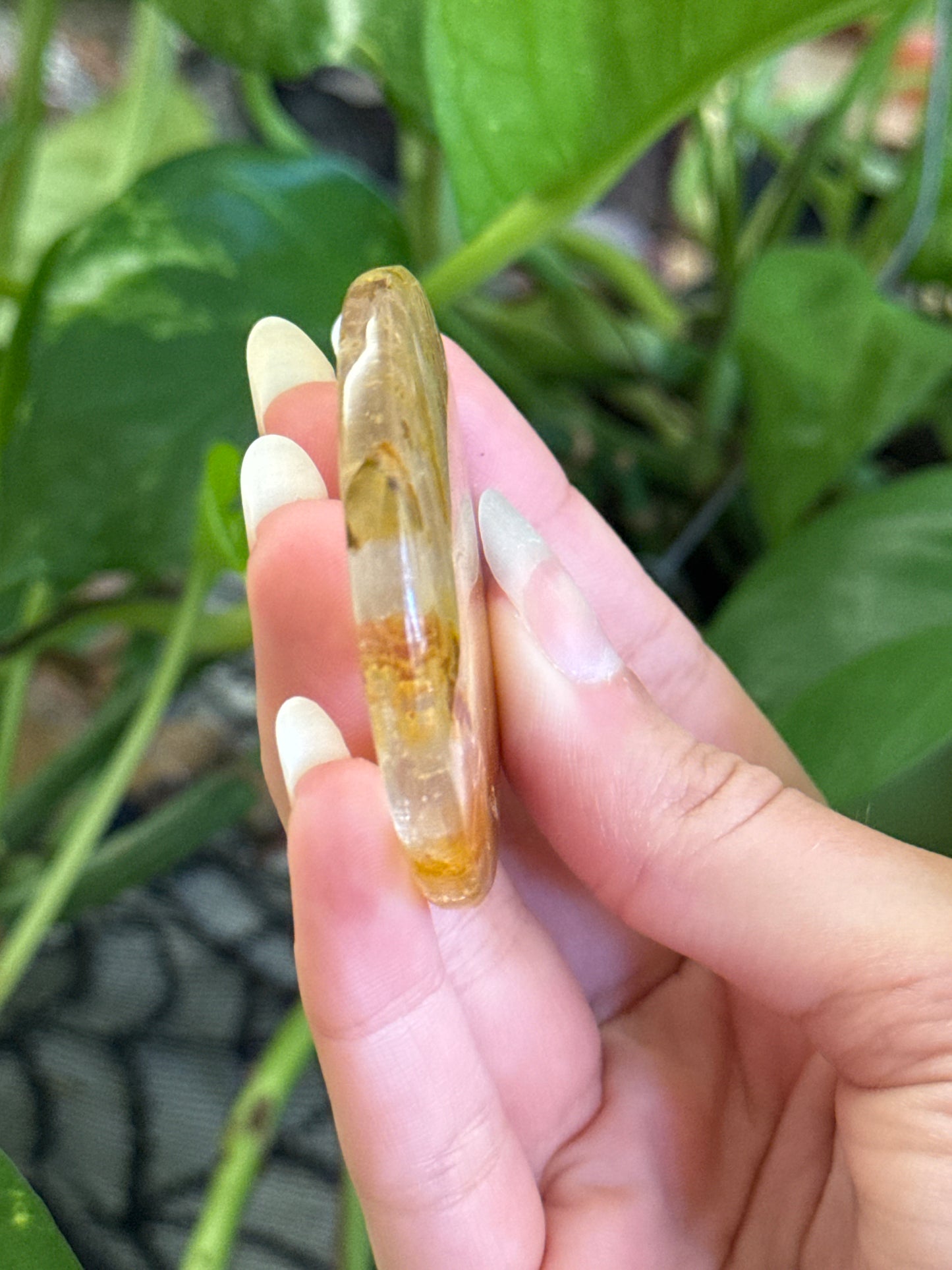 High Clarity Golden Healer Disk