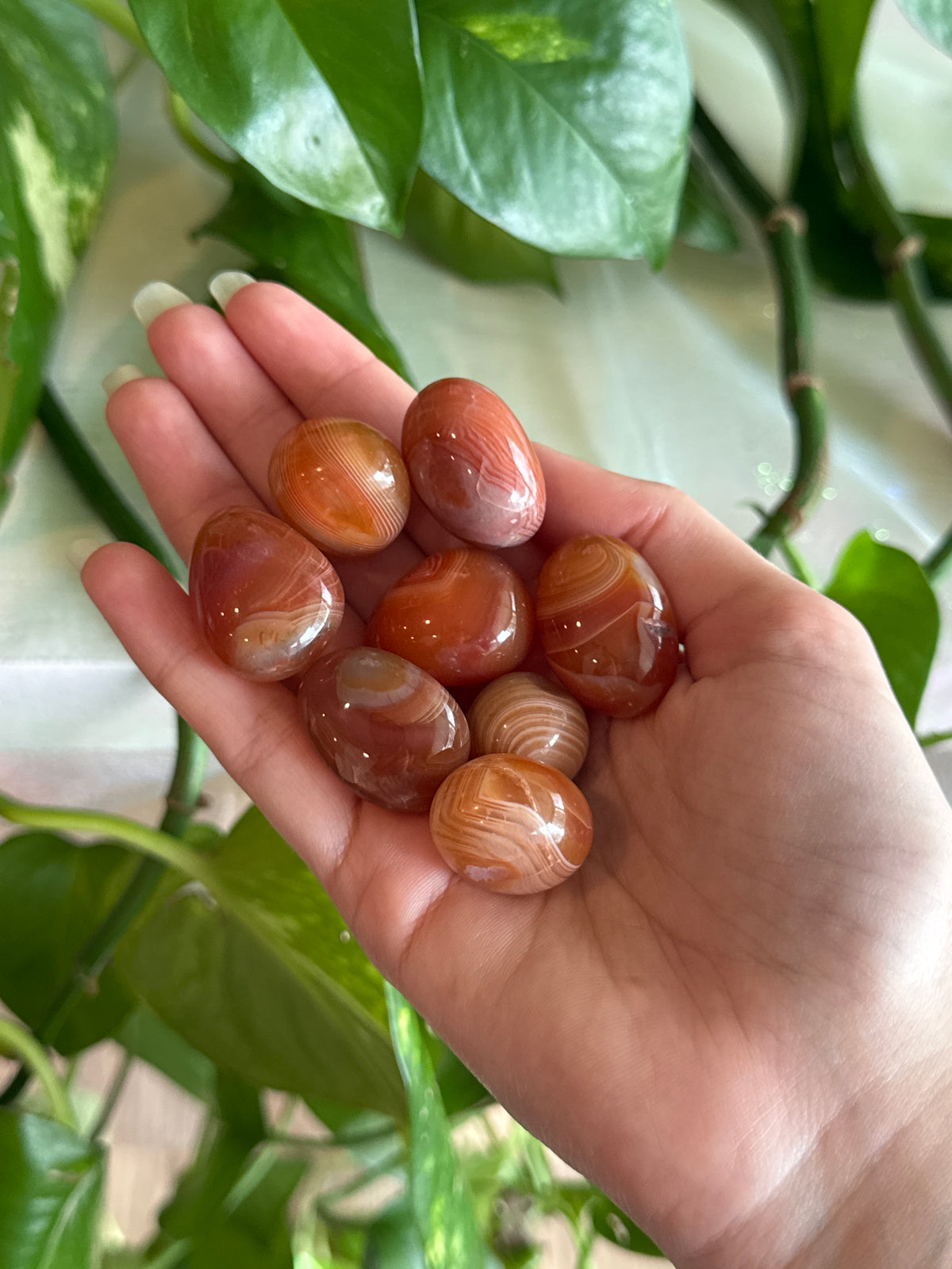 Banded Carnelian Tumble