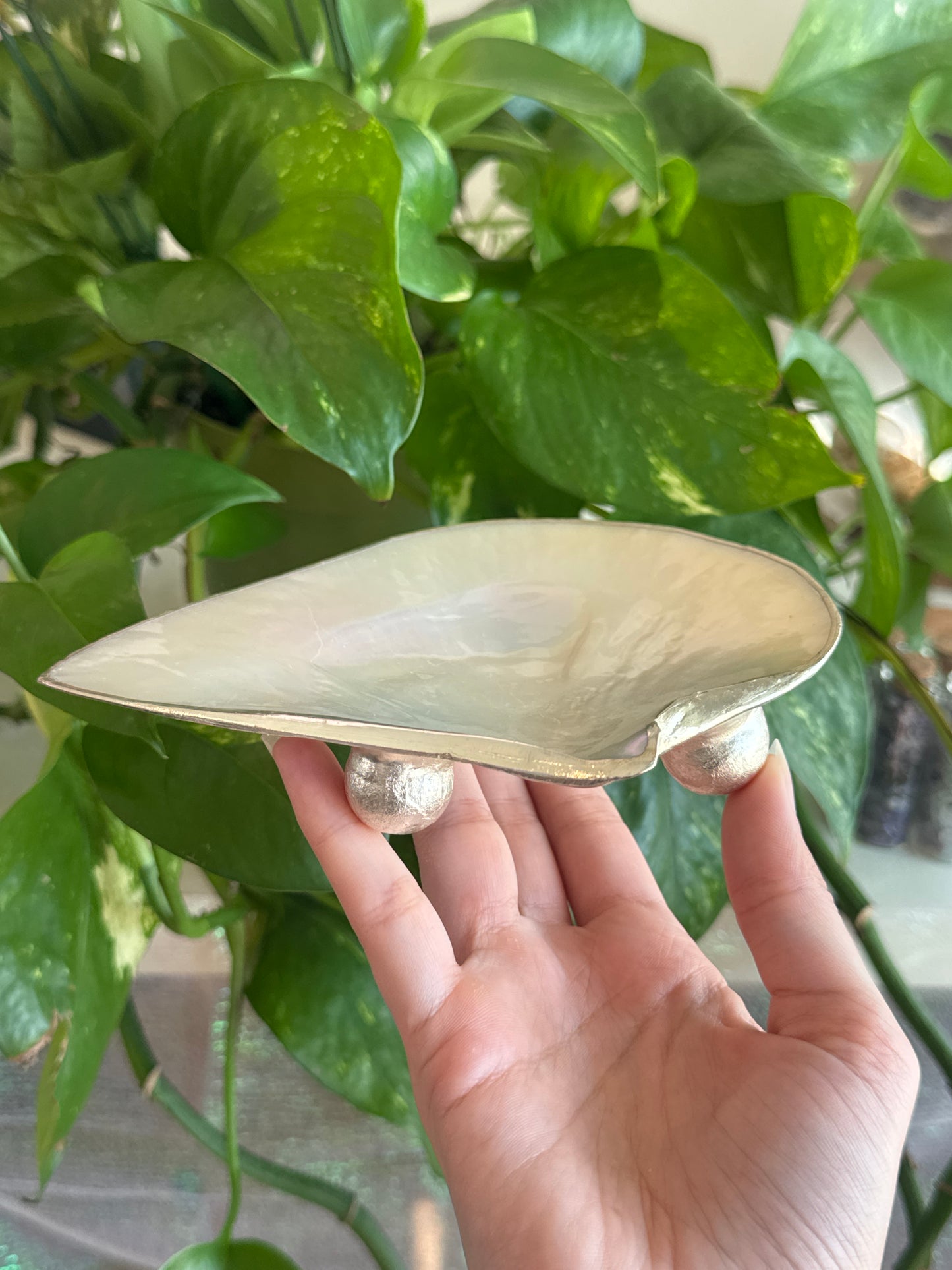 Iridescent Shell Handmade Bowl A