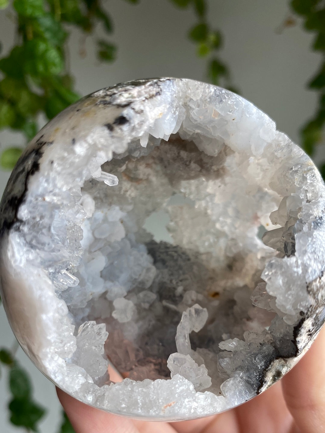Large Argentina Agate Druzy Sphere A