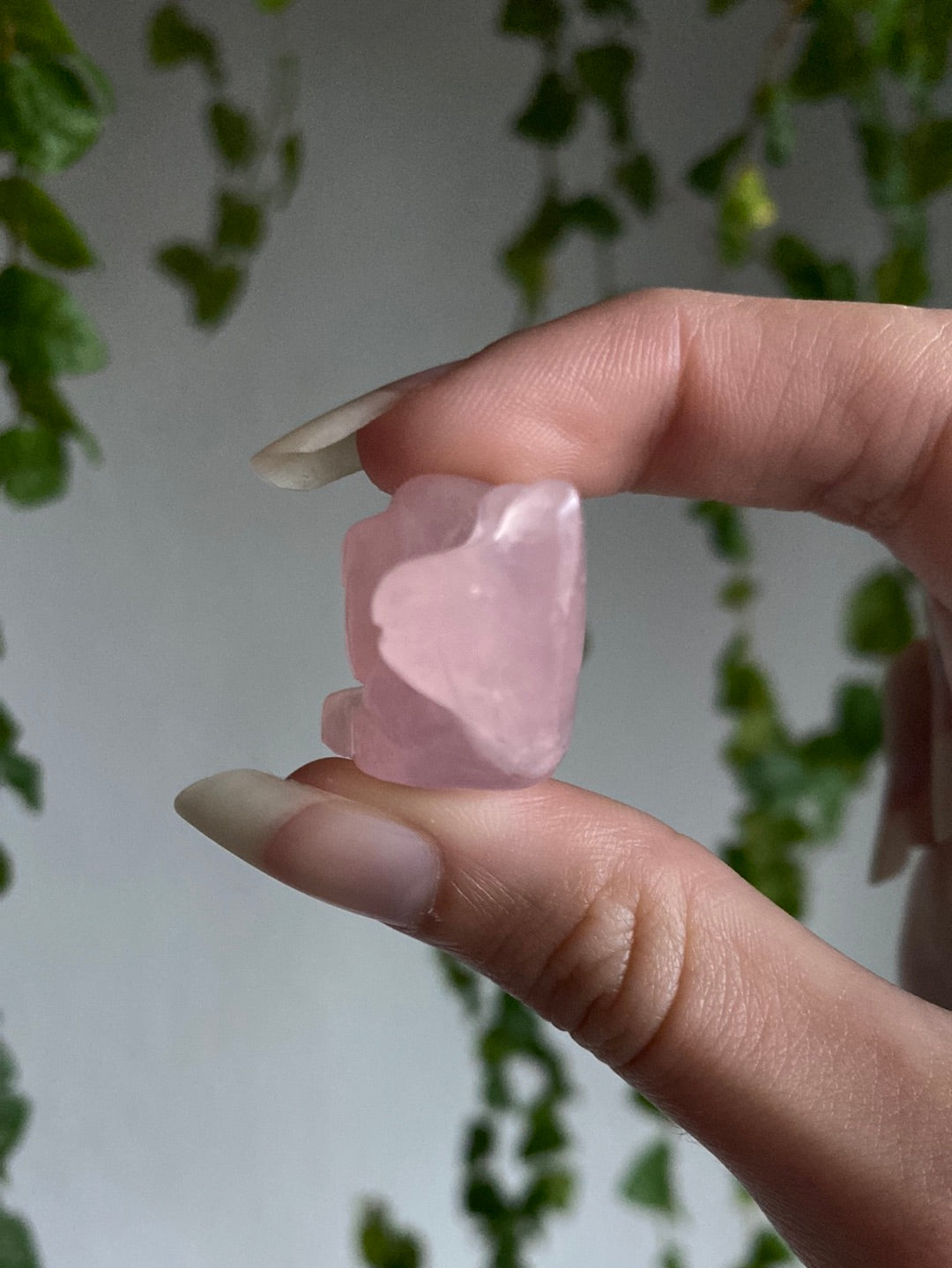 Rose Quartz Snail