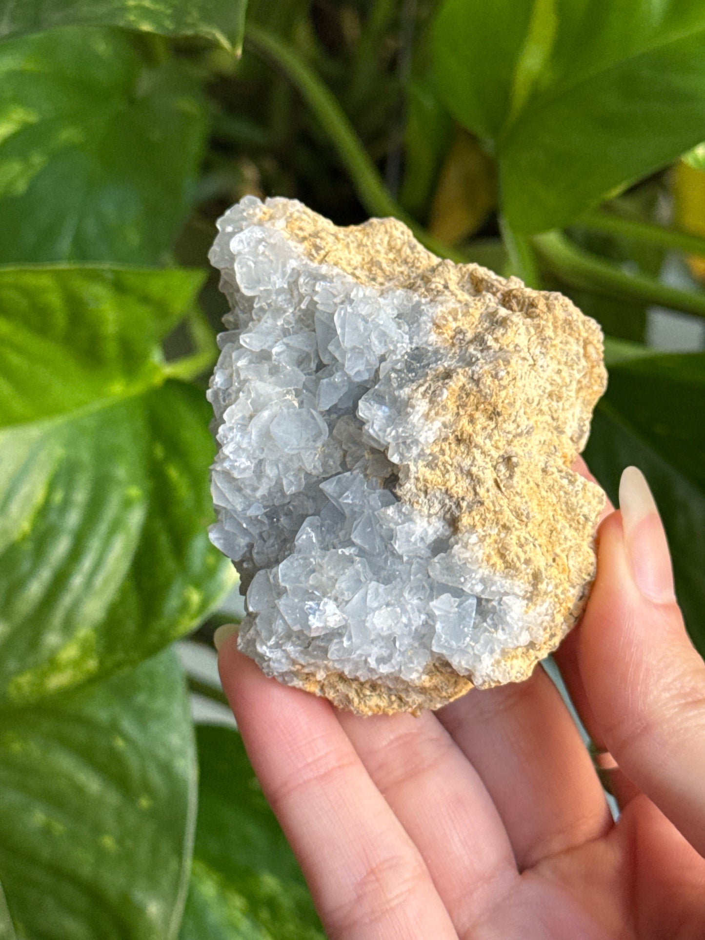 Celestite Specimen