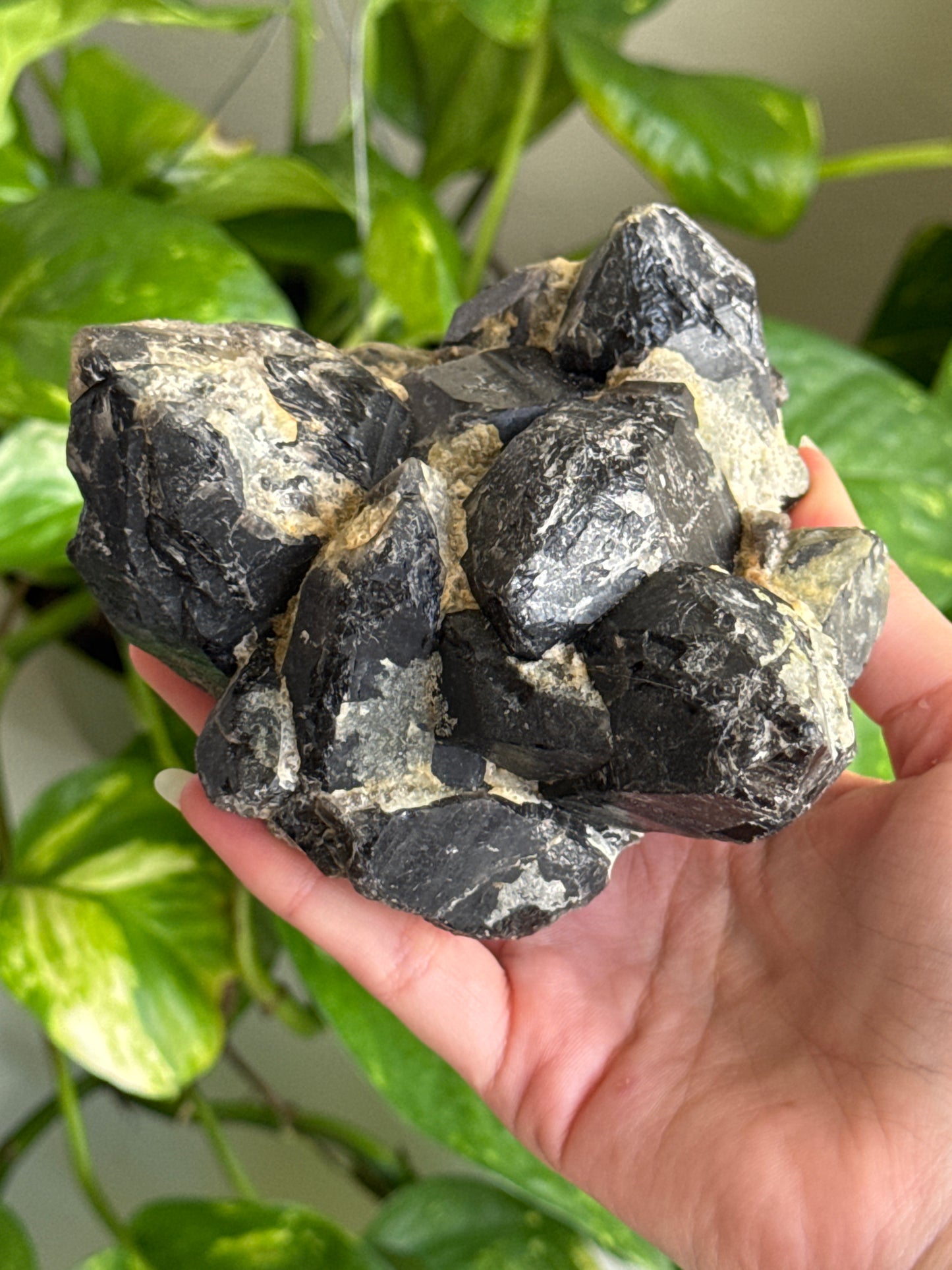 Large Epidote on Smoky Quartz Cluster