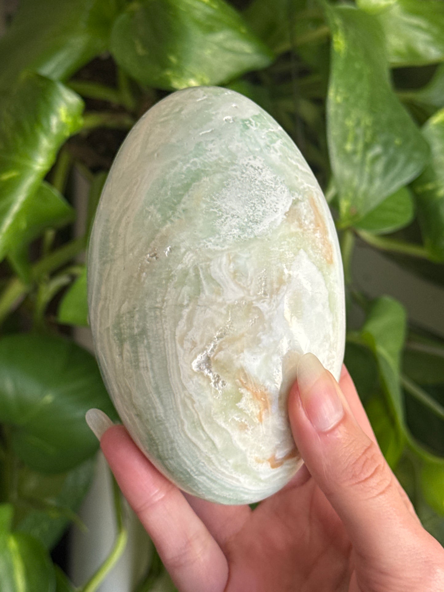 Huge Caribbean Calcite Shiva