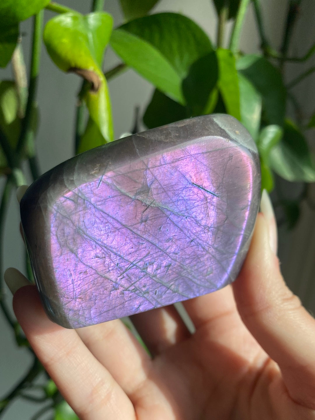 Purple Labradorite Freeform