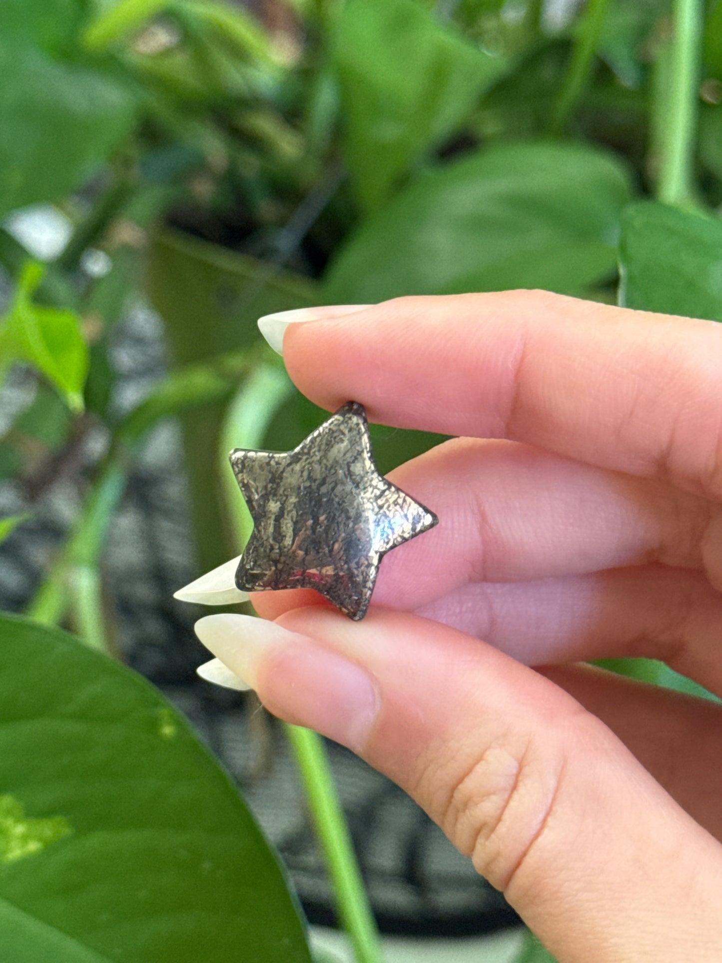 Pyrite Mini Star