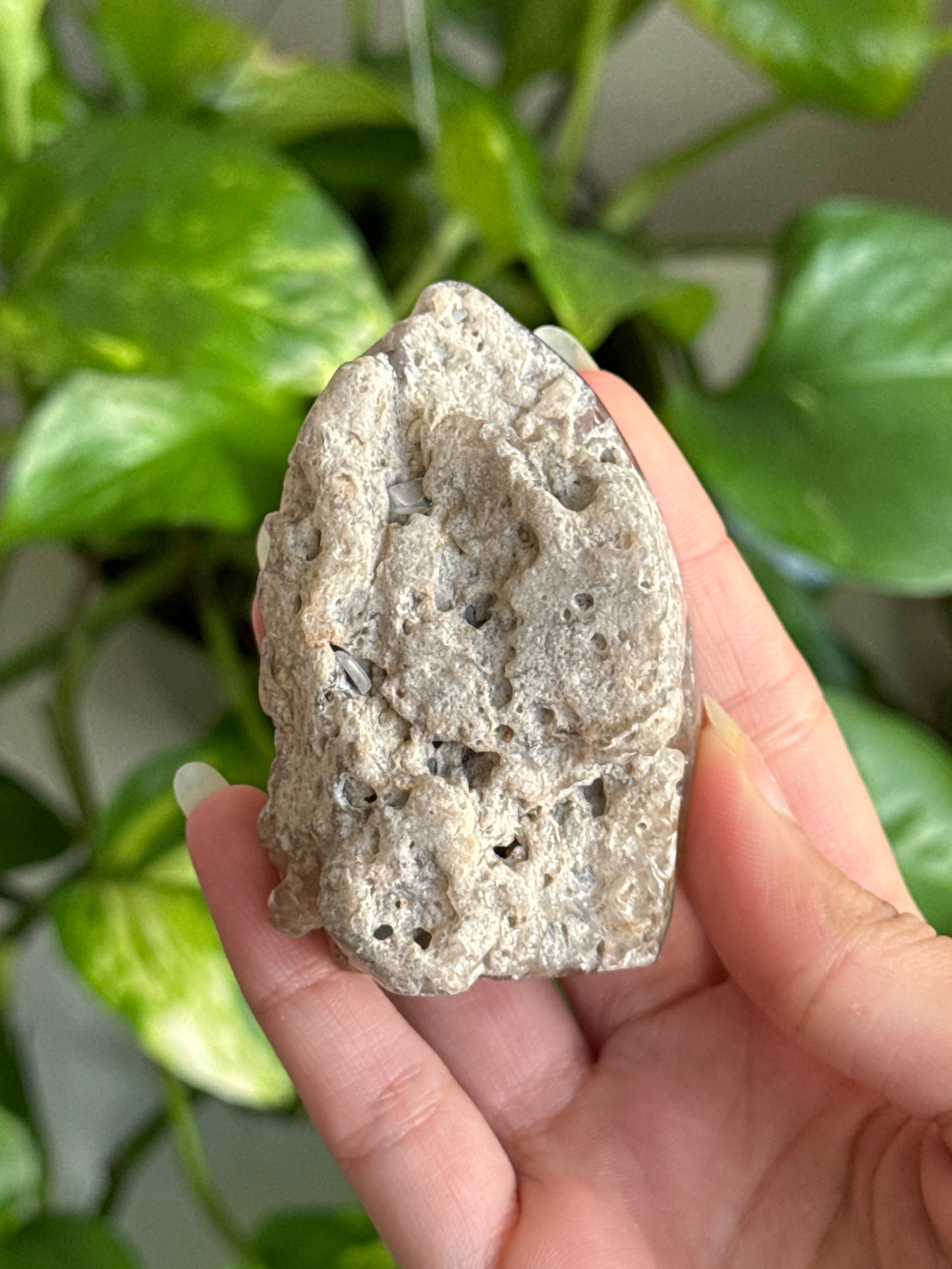 Smoky Garden Quartz Half Polished Freeform