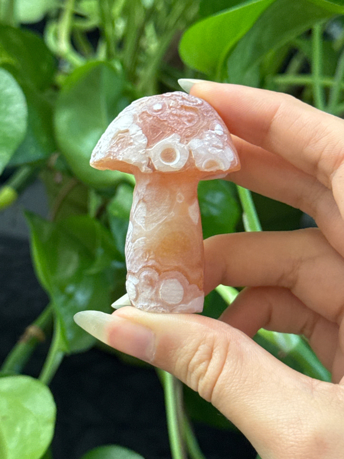 Gobi Agate Mushroom