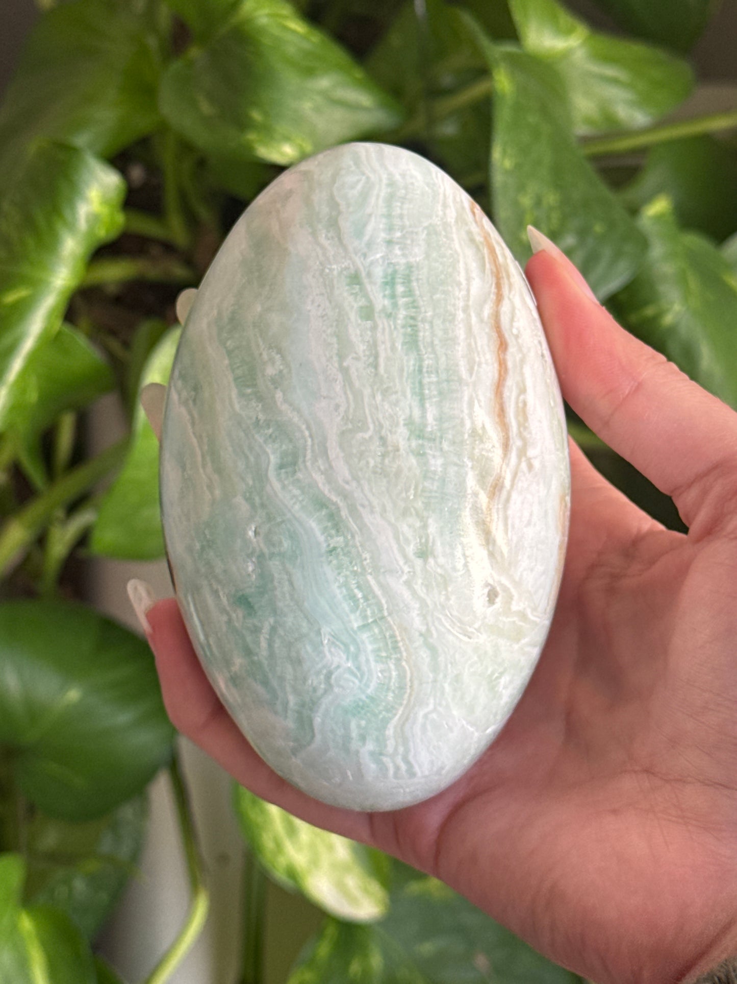 Huge Caribbean Calcite Shiva
