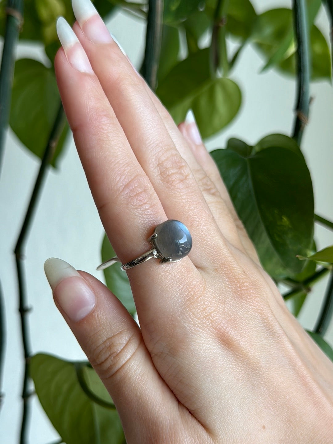 Grey Moonstone Adjustable Ring