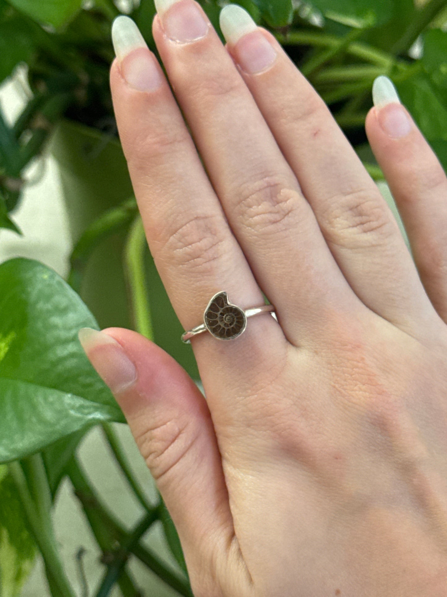 Ammonite Sized 925 Sterling Silver Ring