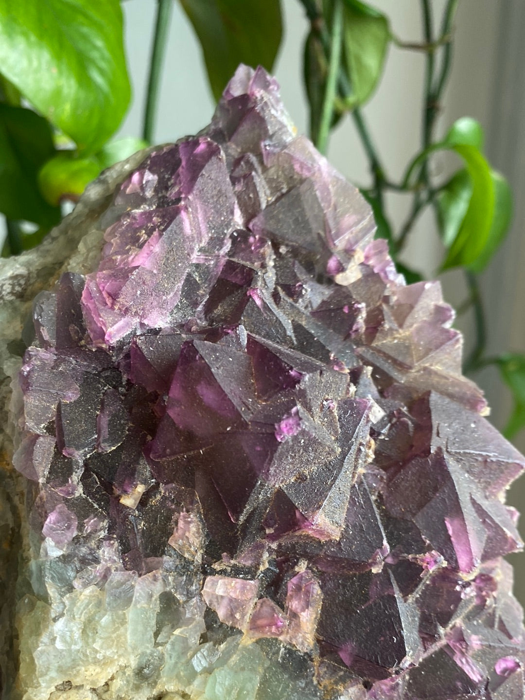 XL Unique Magenta/Green Cubic Fluorite Specimen