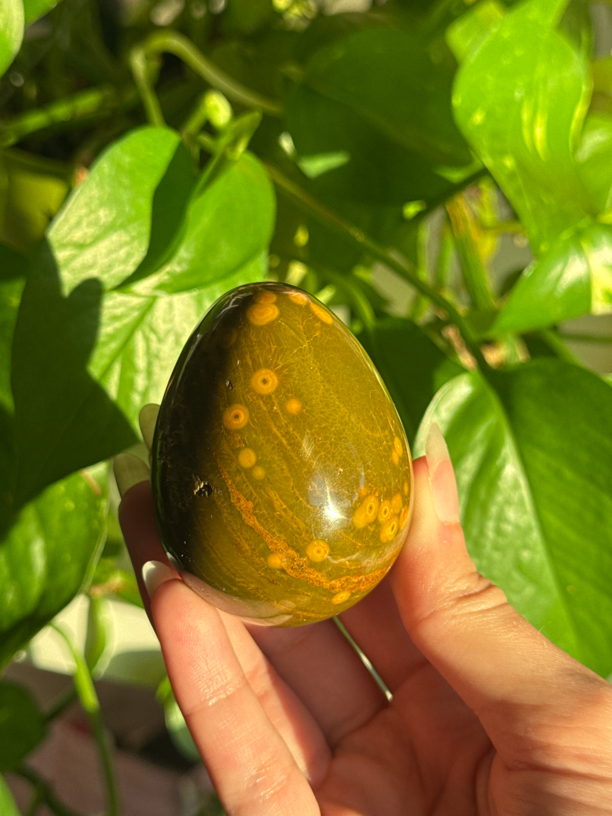 Speckled Deep Green Sea Jasper Egg