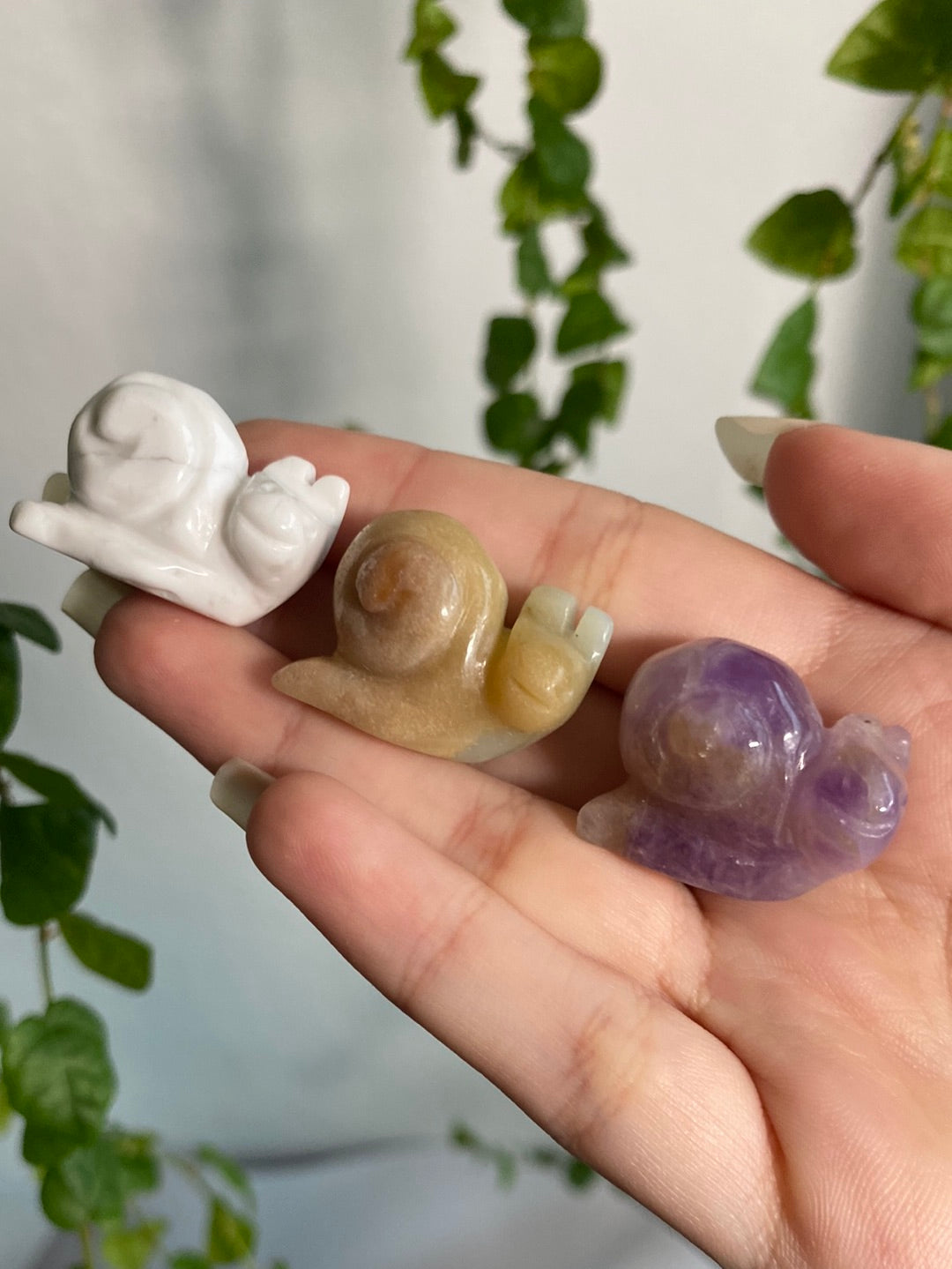 Mini Snails | You Pick