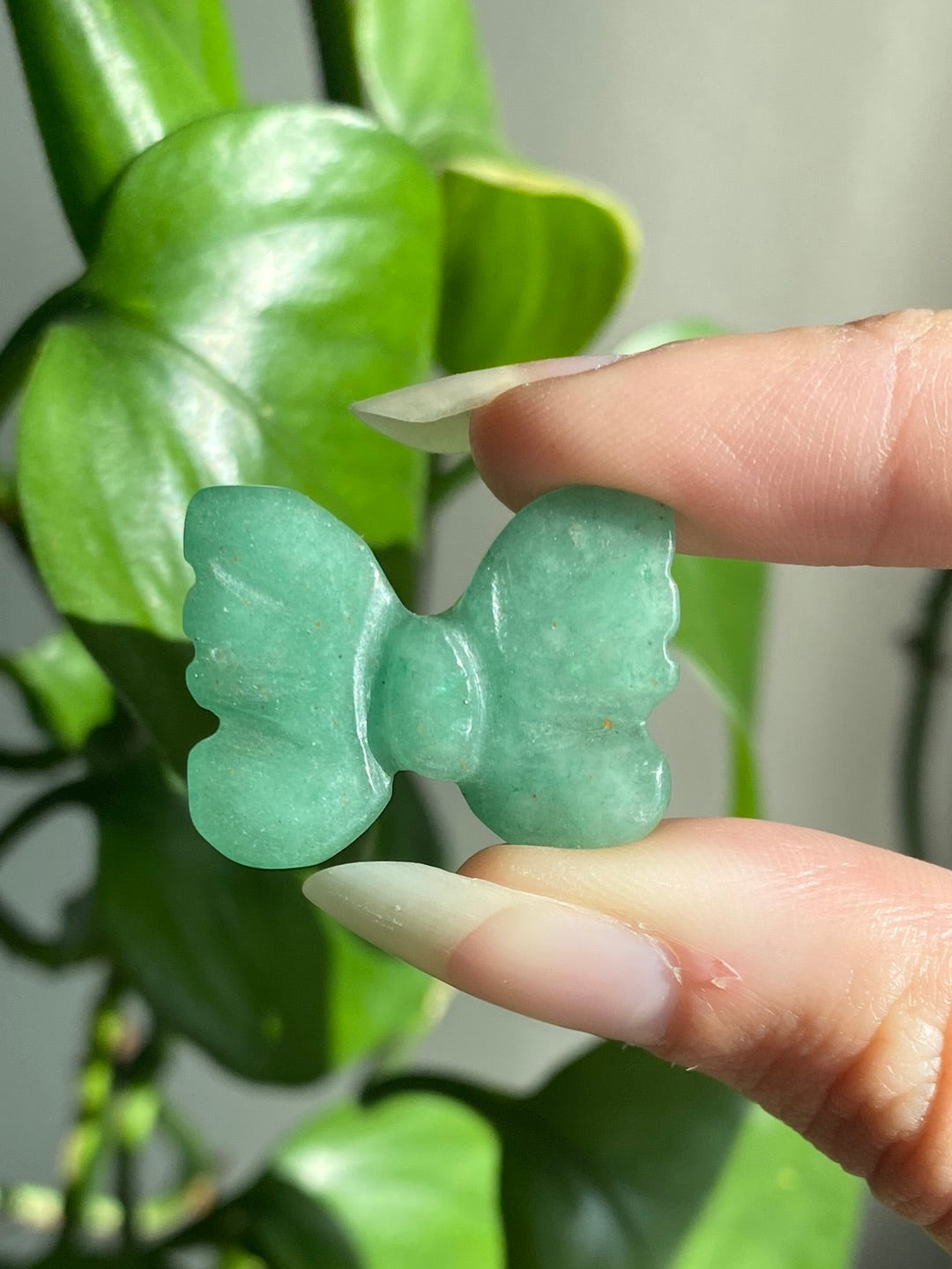 Green Aventurine Butterfly - Intuitively Picked