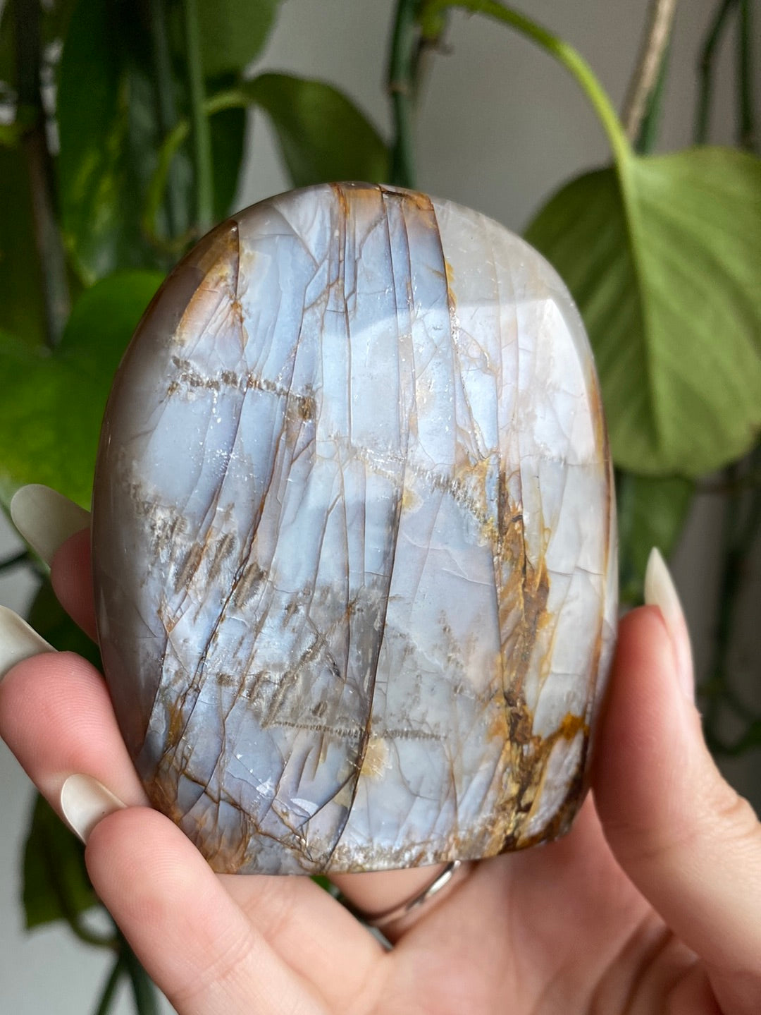 Black Moonstone Freeform A