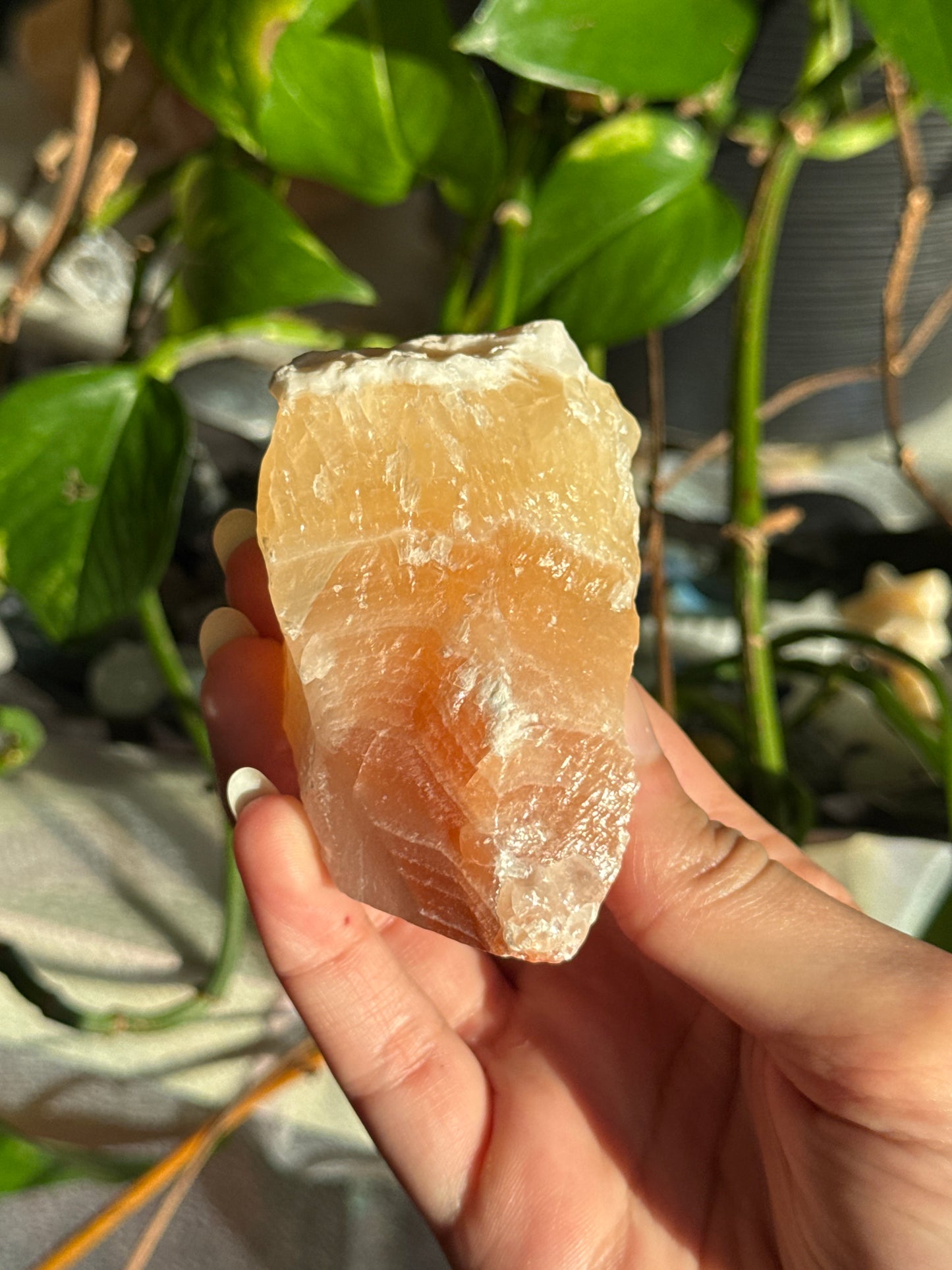 Peachy Banded Tri-Color Mexican Calcite C