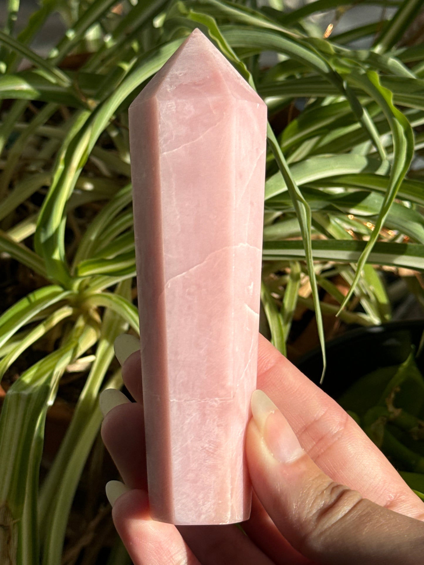 Pink Opal Towers Batch 1
