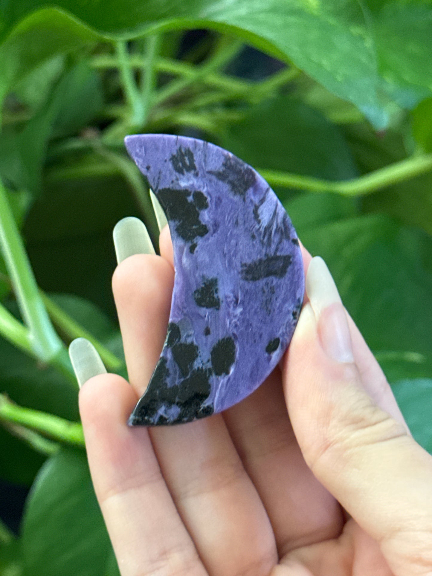 Charoite Crescent Moon | You Pick