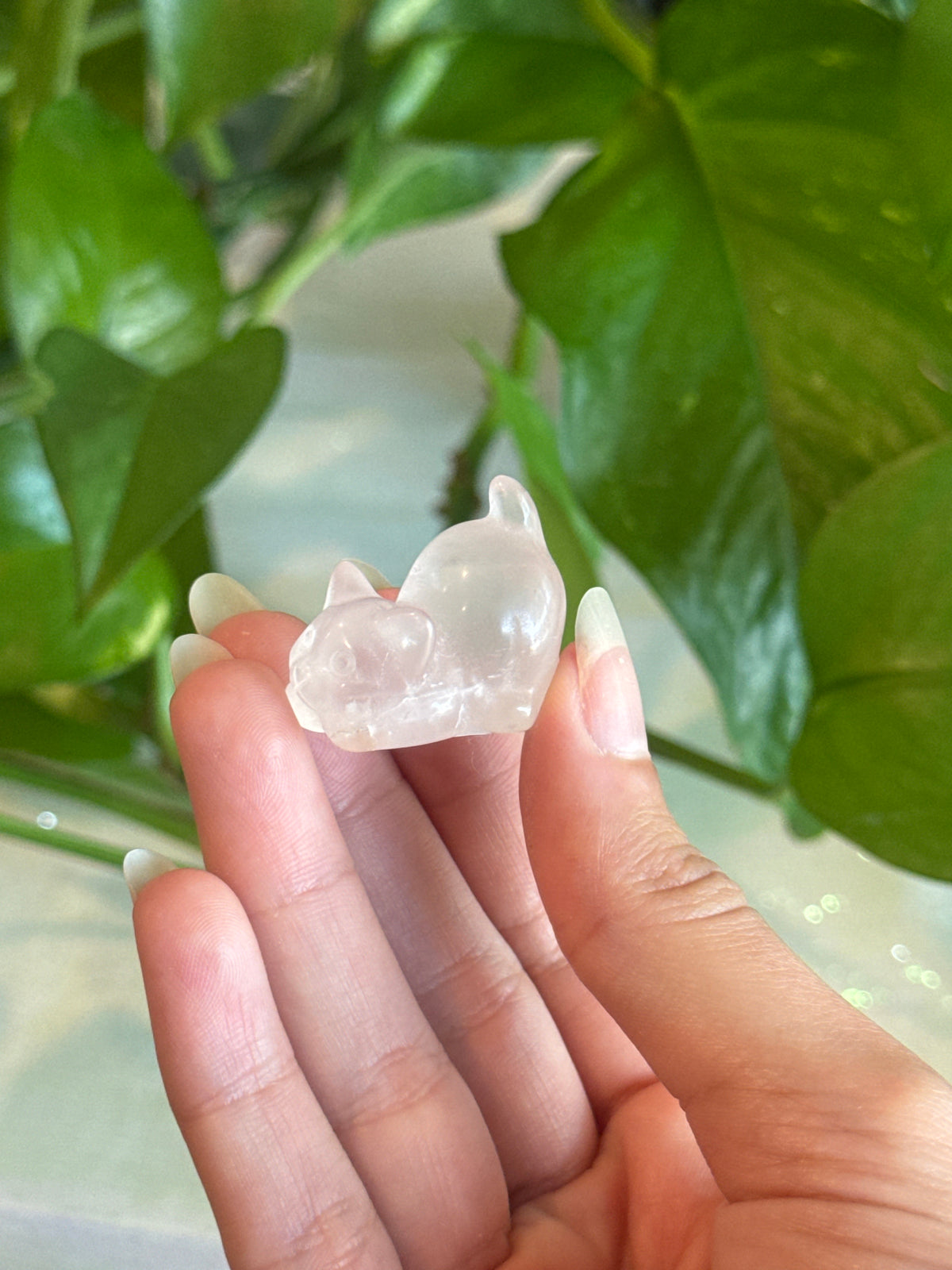 Stretching Cat Carving | You Pick Material
