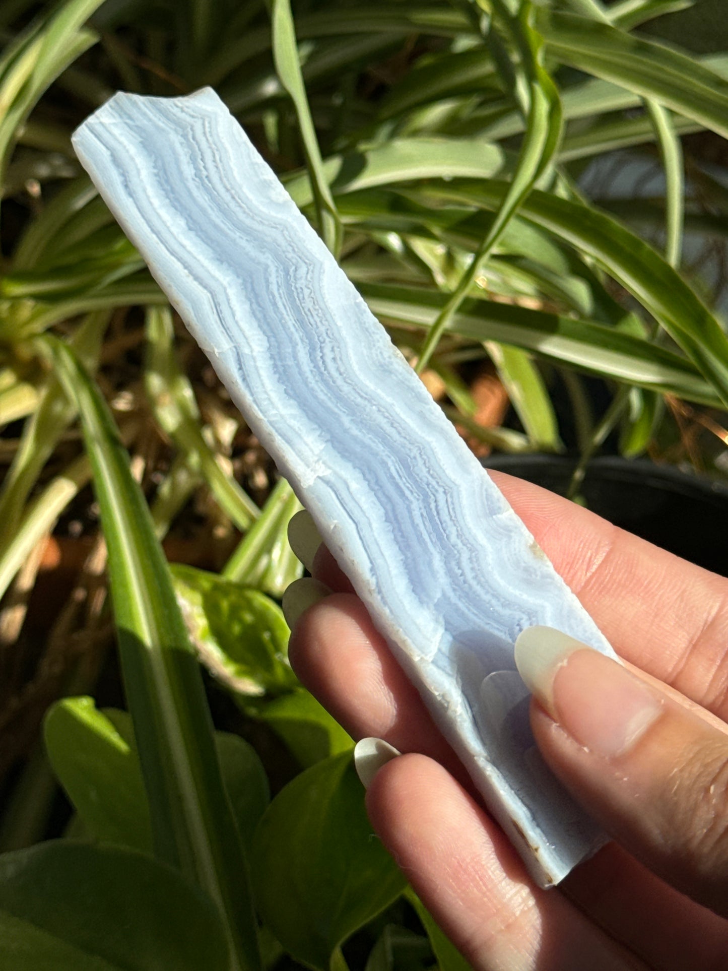 Blue Lace Agate Slab