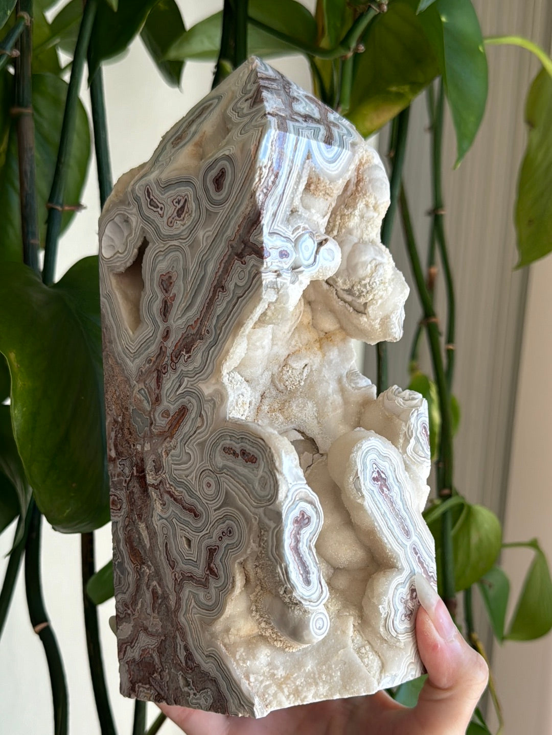 8” 4.5 lb XL Mexican Crazy Lace Druzy Tower