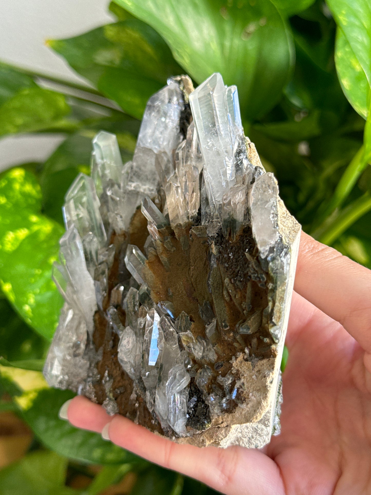Unique High Altitude Himalayan Quartz Self Standing Specimen